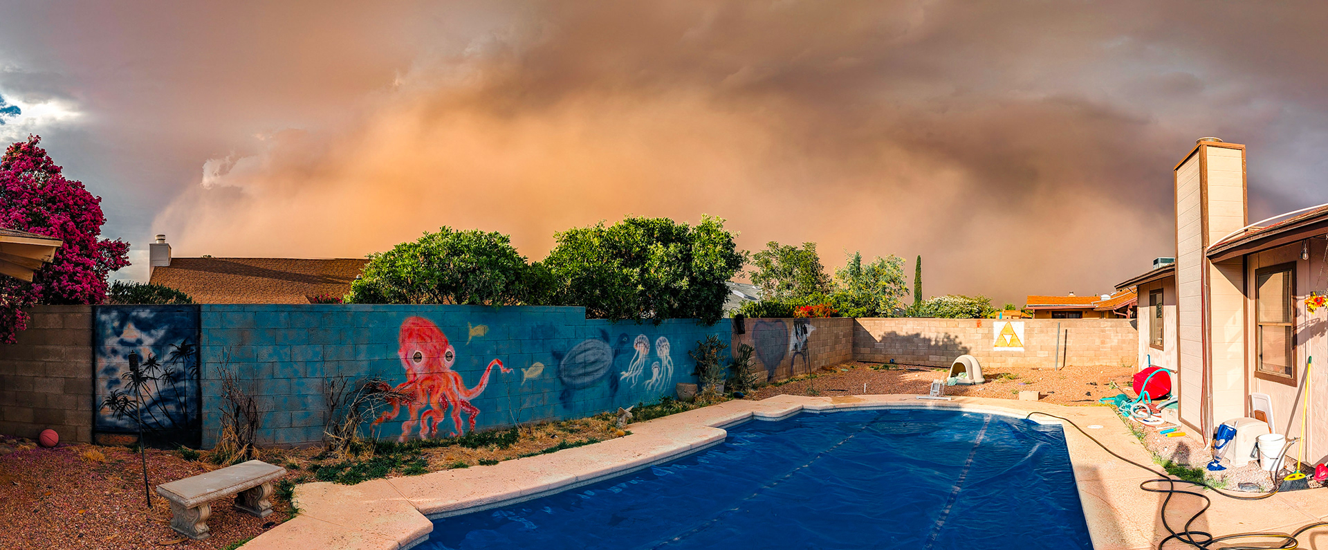 Right before the dust overran our backyard