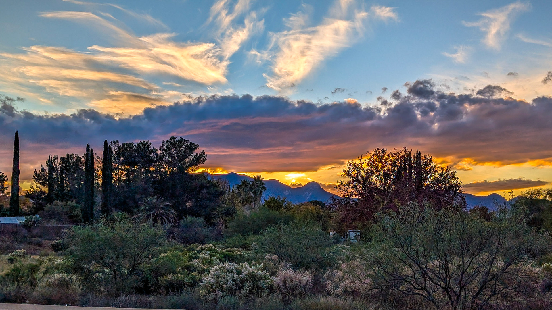 Colorful sunset on our evening walk