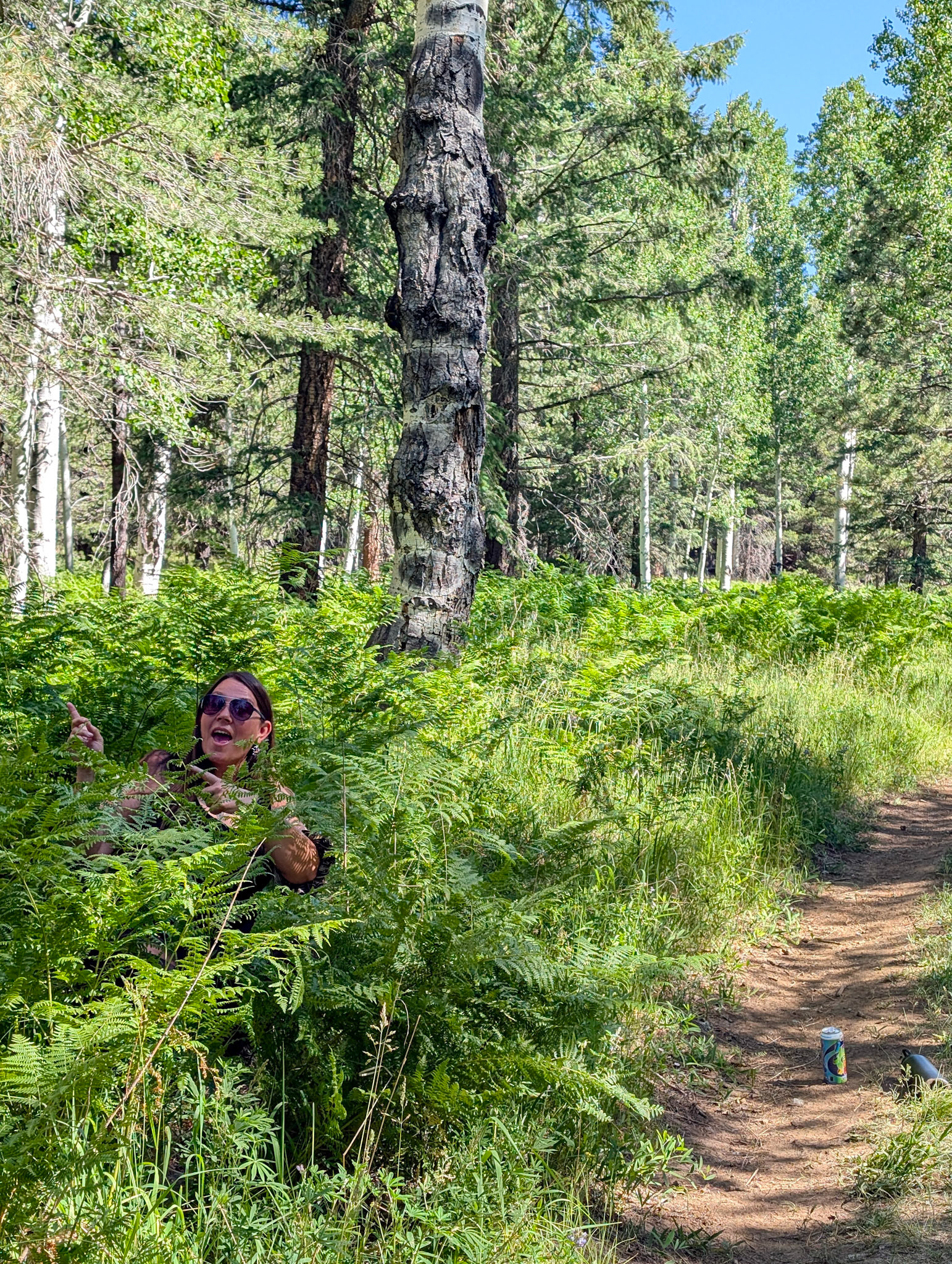 Hiding in the ferns at Viet Springs