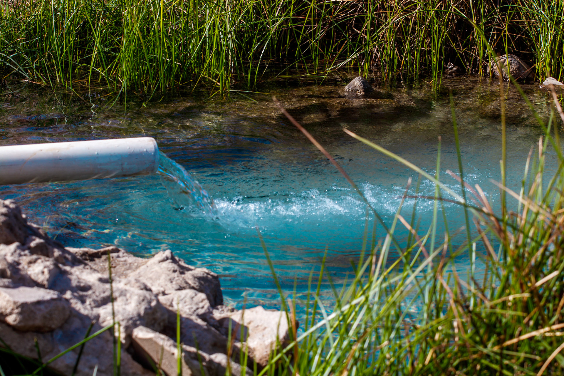 Jacumba Hot Spring