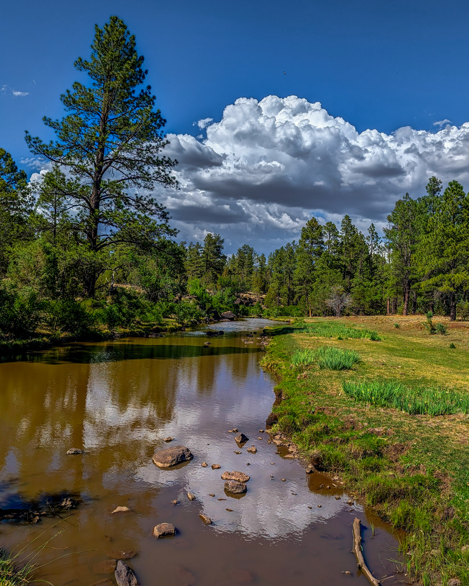 Scott's Resevoir near Lakeside-Pinetop AZ