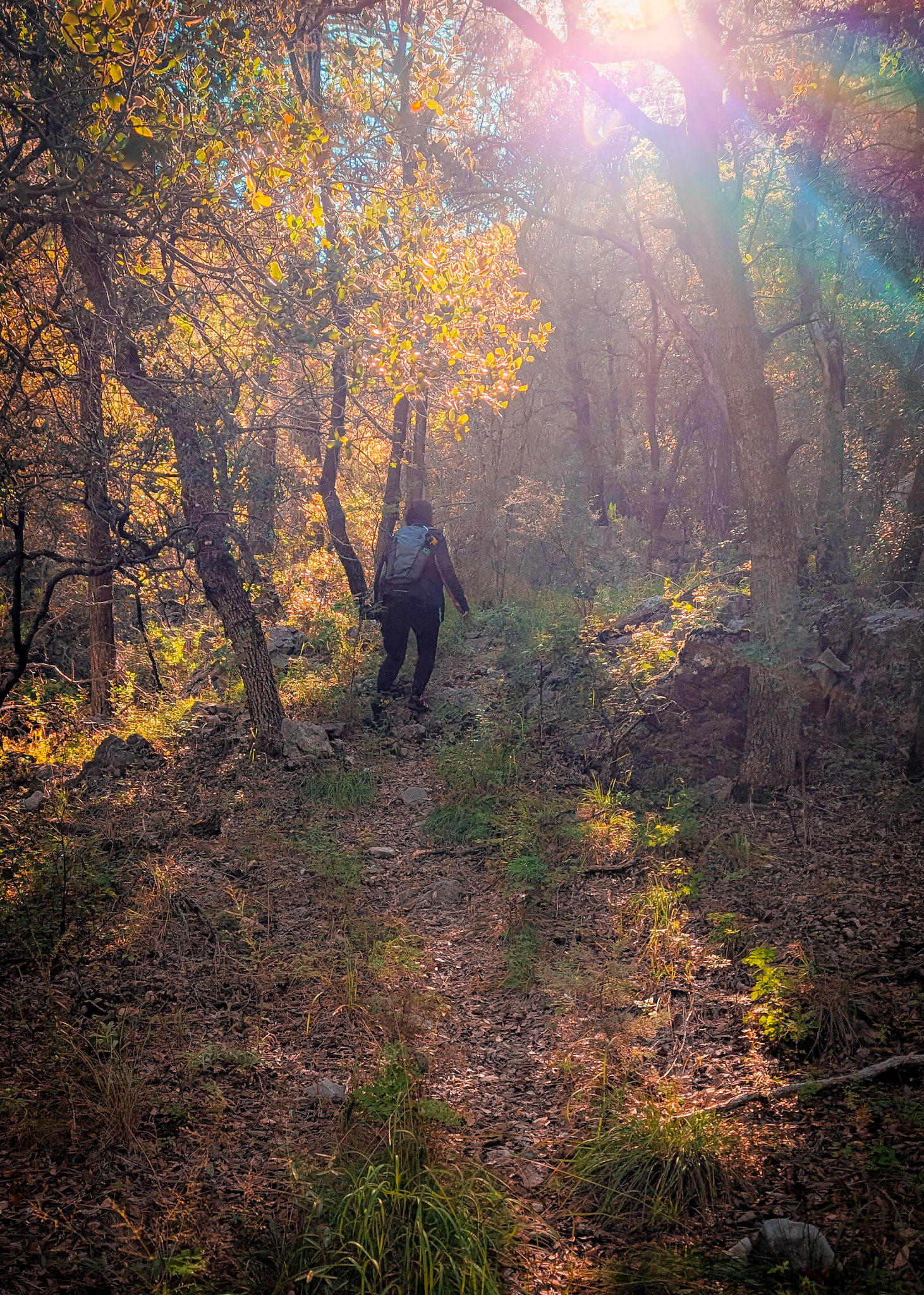 Early morning light in the canyon
