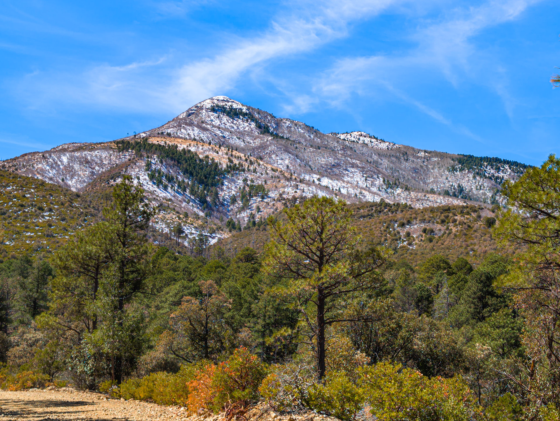 Snow-capped Miller Peak