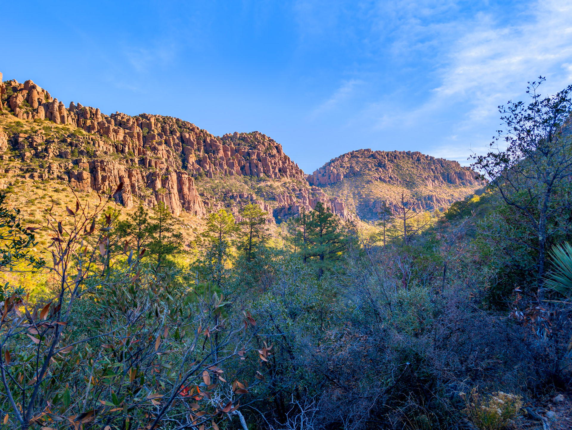At the entrance to Chiricahua National Monument