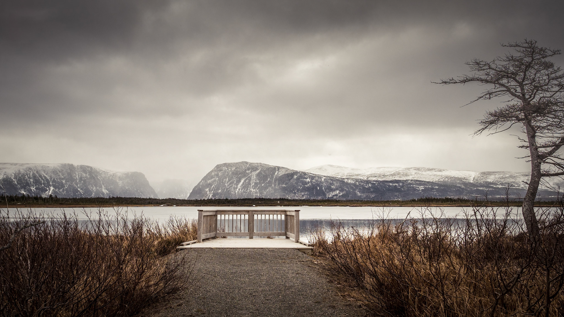 A stark and serene winter landscape along the walking trail to Western Brook Pond, captured on a cold March day. The distant fjords stand shrouded in snow, their rugged cliffs meeting the frozen waters under a moody, overcast sky. Bare trees and golden grasses frame the scene, enhancing the sense of solitude and the raw beauty of Gros Morne’s winter wilderness.
