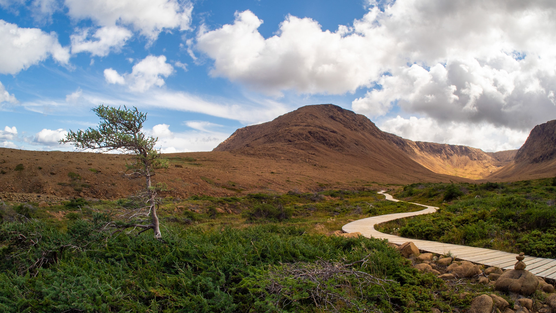 The striking landscape of the Tablelands Trail in Gros Morne National Park—one of the rare places on Earth where you can walk on the planet’s exposed mantle. The golden-hued peridotite rock, shaped by time and elements, contrasts beautifully with the lush greenery and a winding boardwalk, inviting explorers to step into this geological wonder. A place where science and scenery collide in breathtaking harmony.