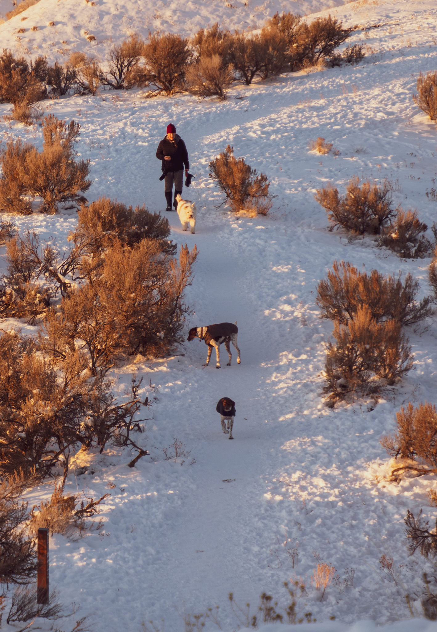Overlooking Harrison Hollow