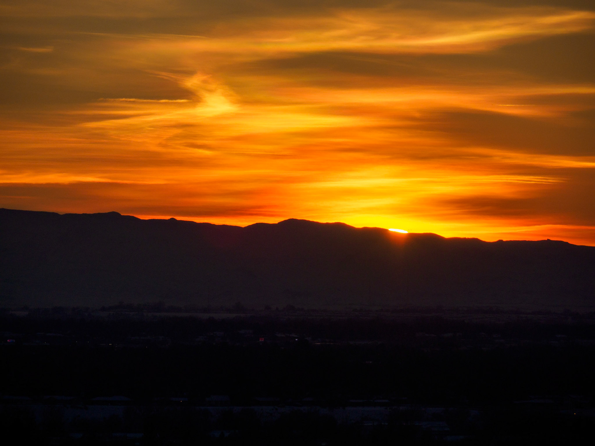 Overlooking Harrison Hollow
