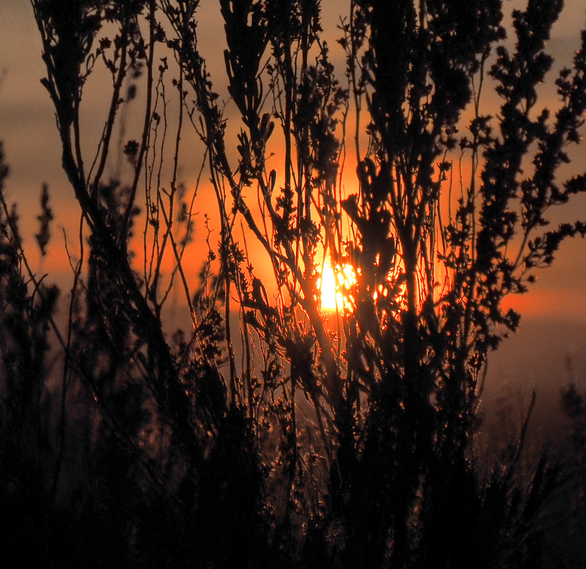 Overlooking Harrison Hollow