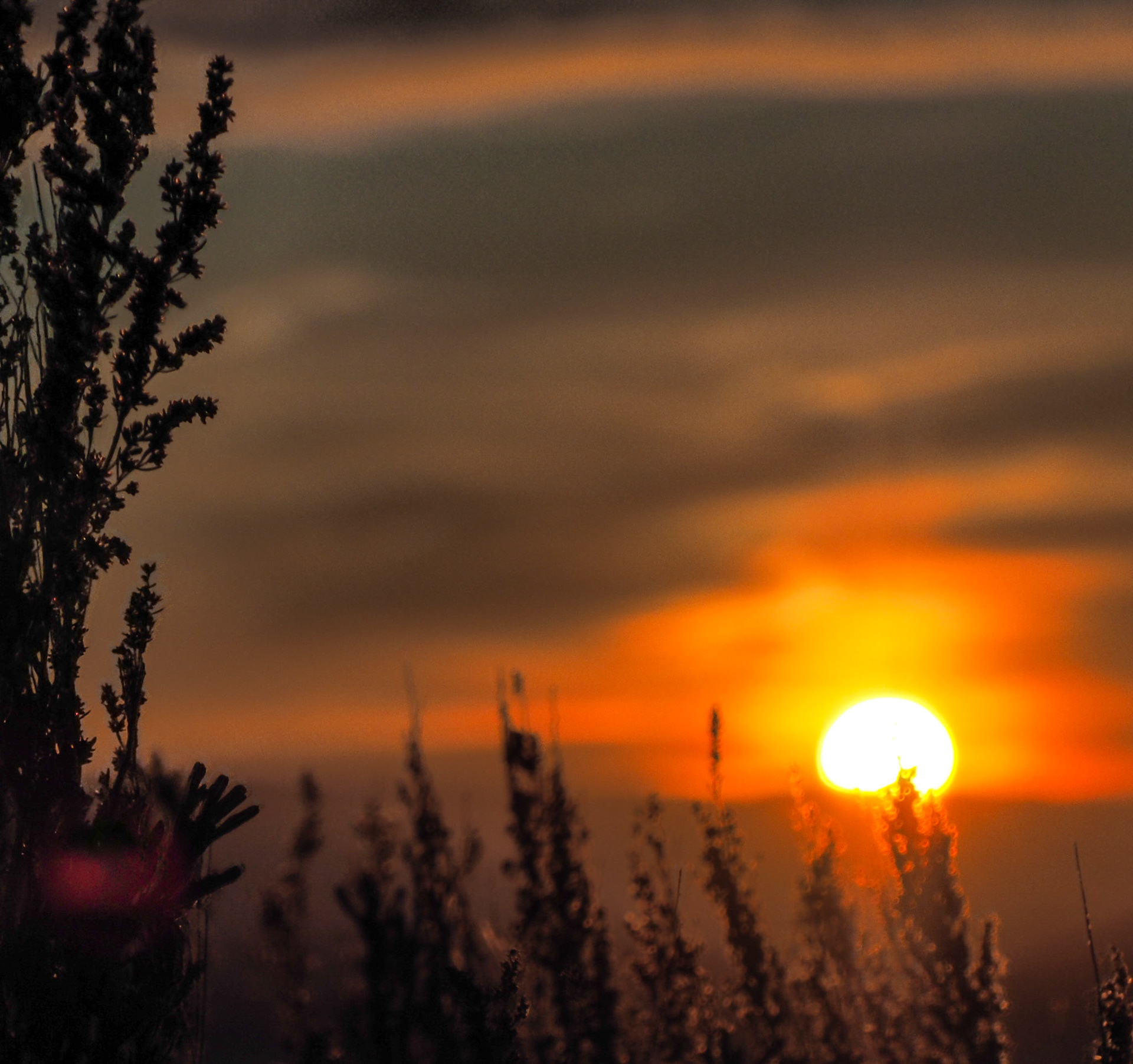 Overlooking Harrison Hollow