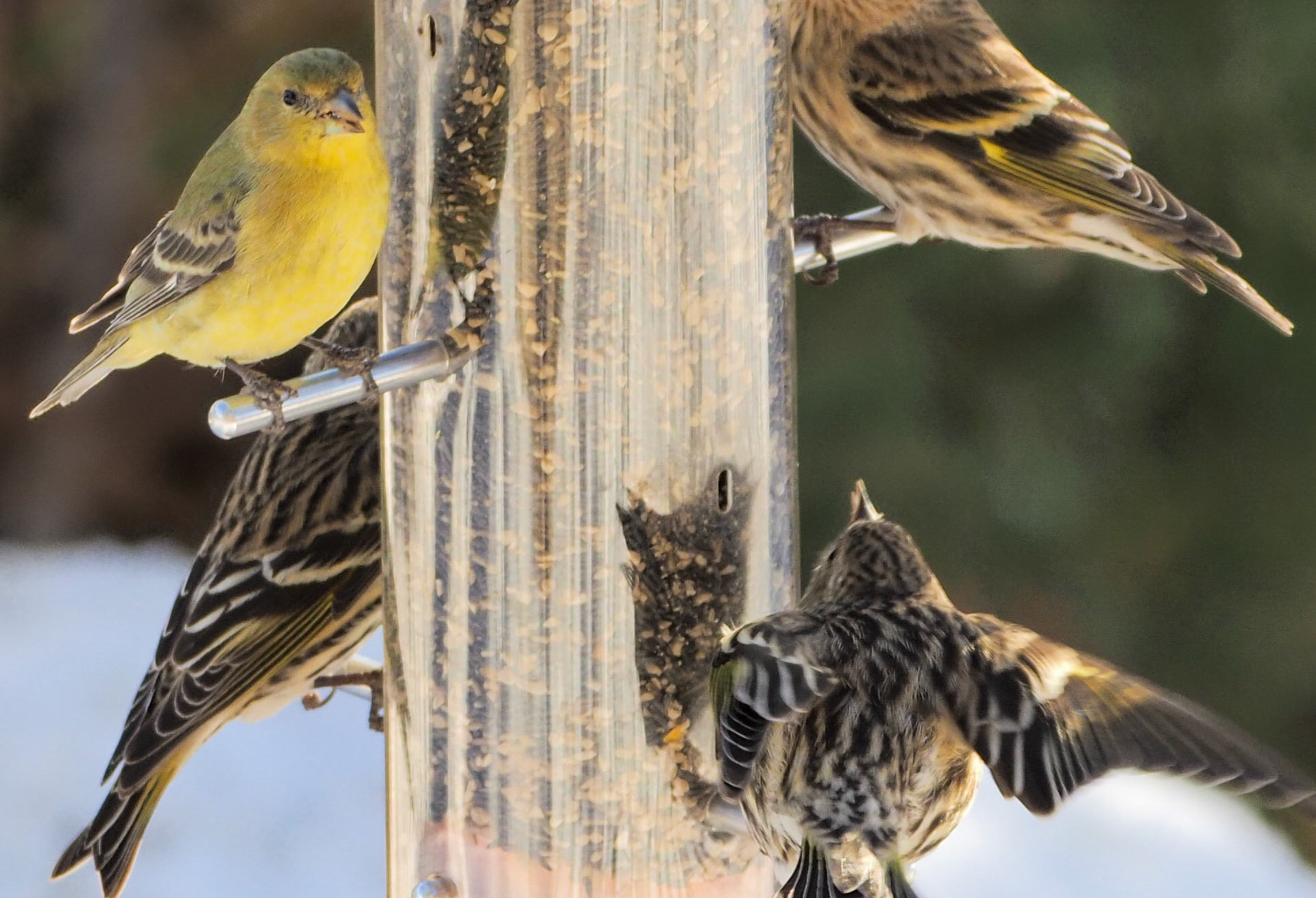 fountain area w/flash