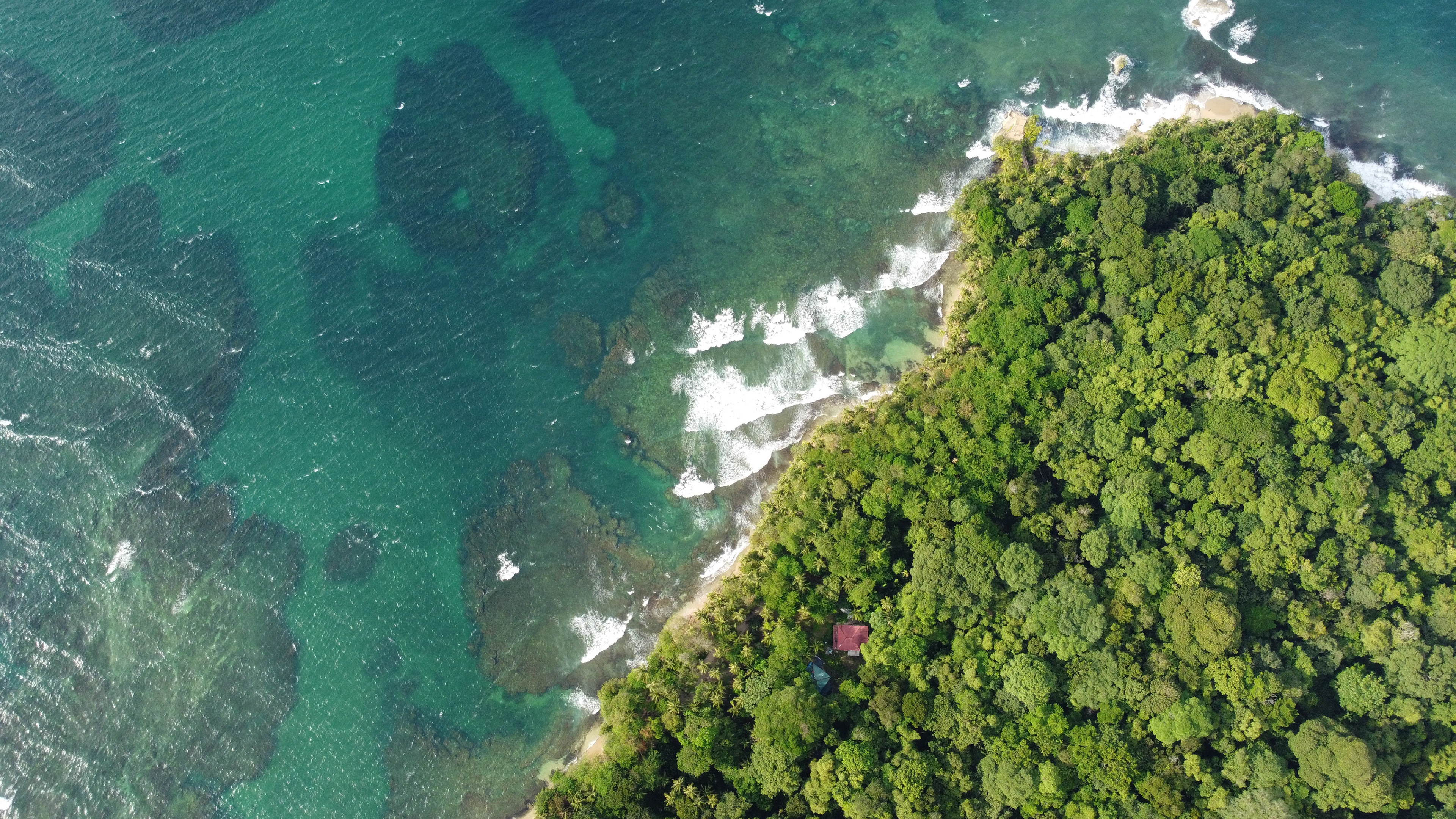 Costa Rica, Limón, Refugio Nacional de Vida Silvestre Mixto Jairo Mora Sandoval, Gandoca Manzanillo