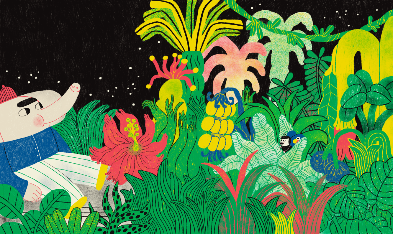 From L'Elefante a mezzanotte