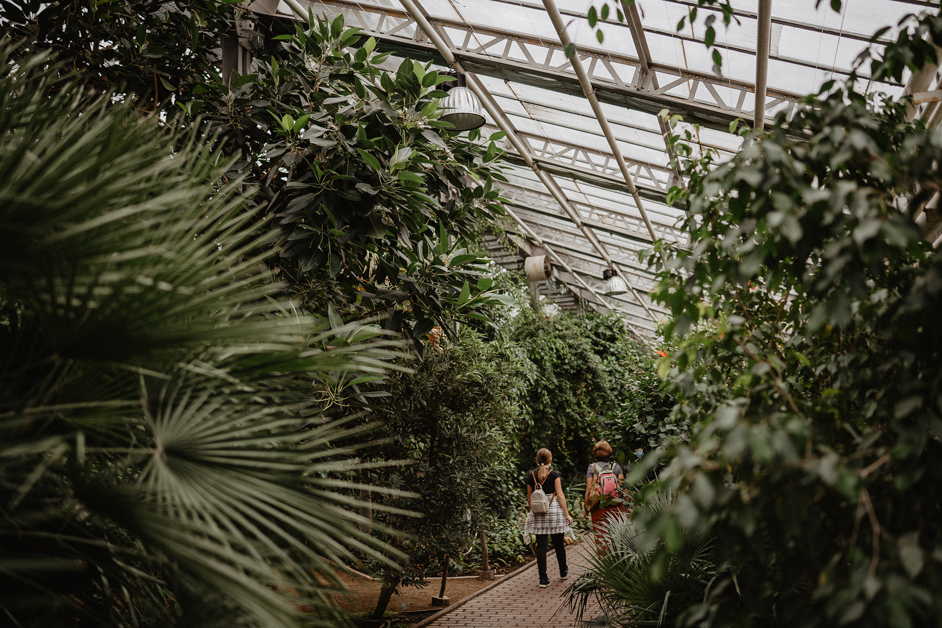 Letní Flora Olomouc 2021