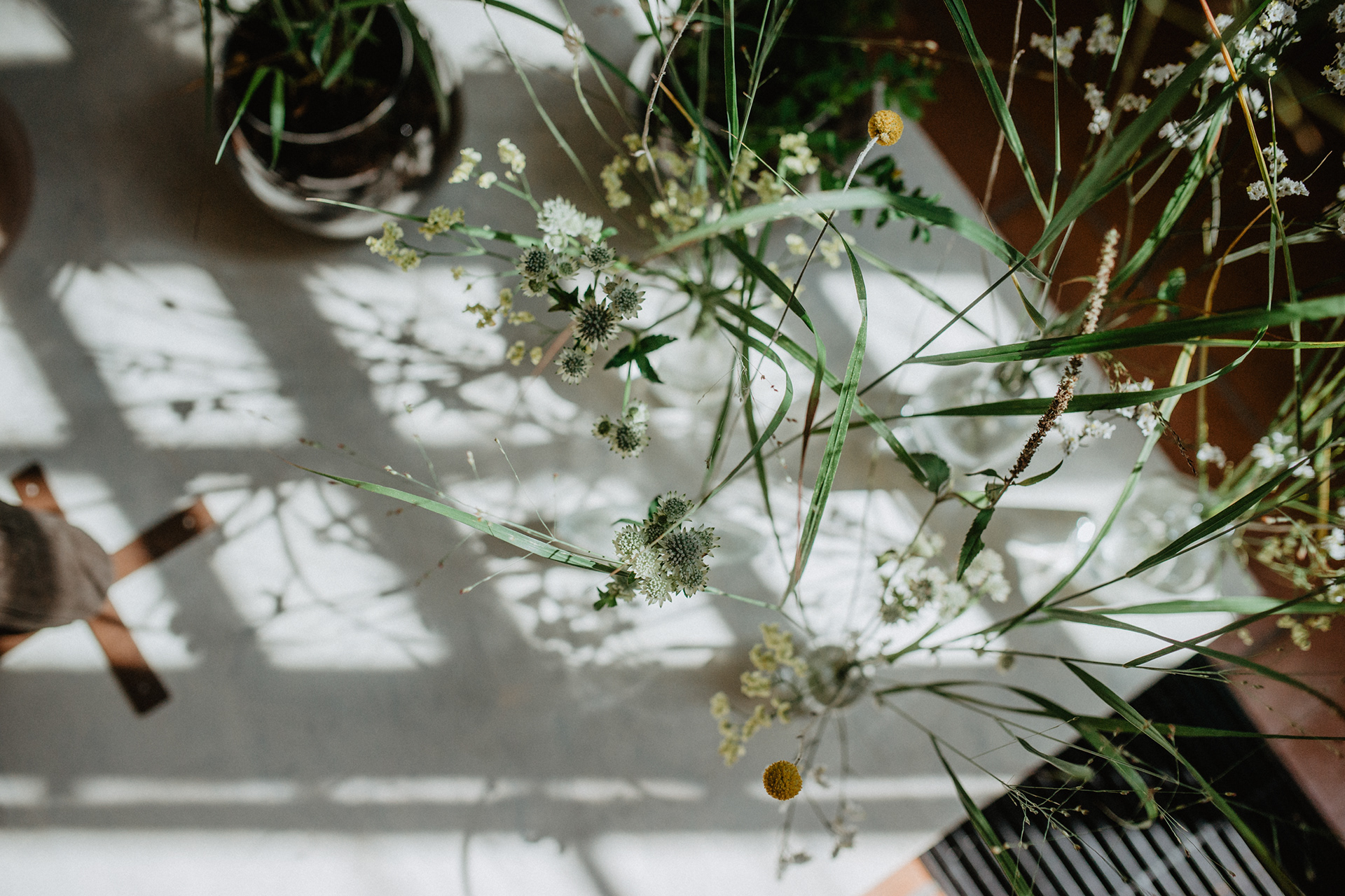 Letní Flora Olomouc 2020
