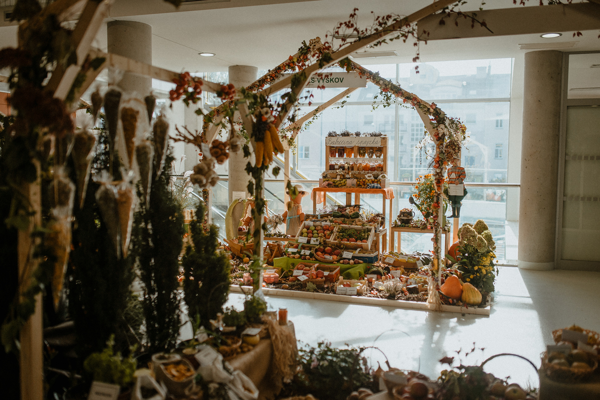 Podzimní Flora Olomouc 2020