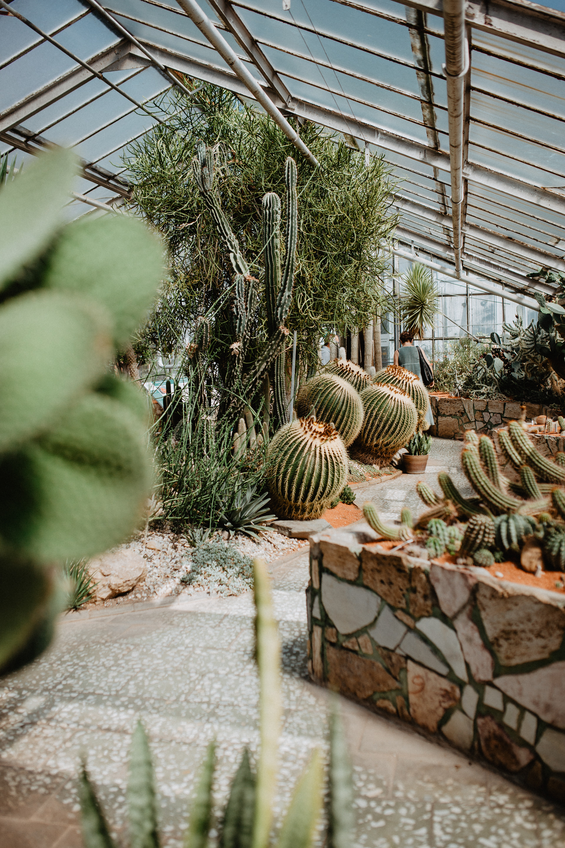 Letní Flora Olomouc 2020