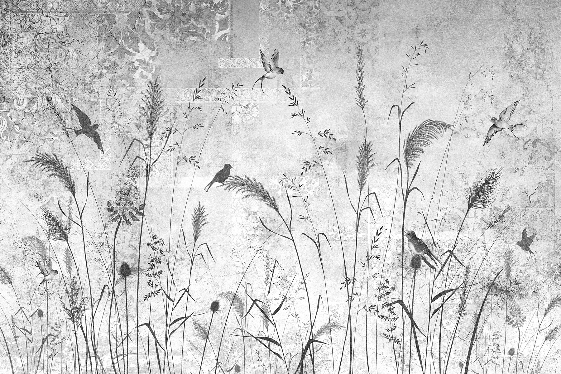 Lorenso wallpaper with delicate meadow grass and bird motif in black and white on a concrete‑effect background.