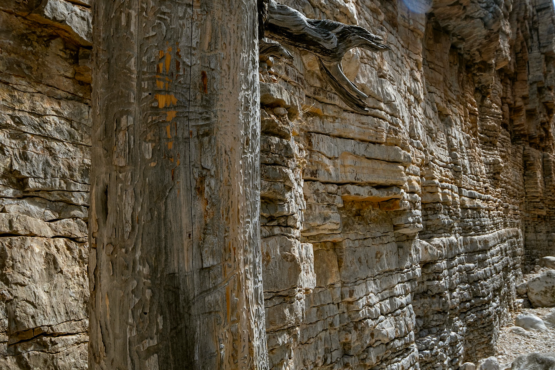 Guadalupe Mountains