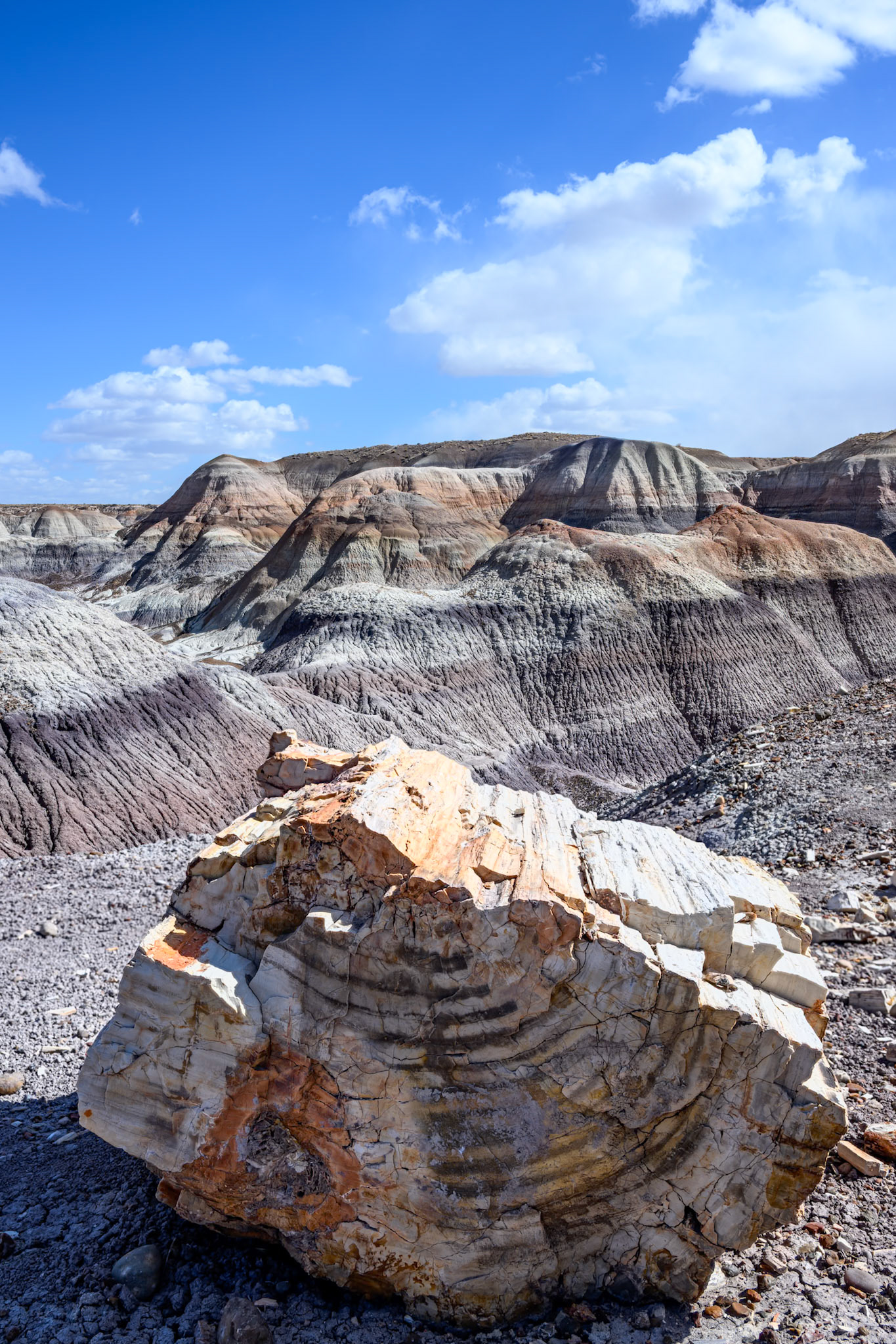 Petrified Forest National Park, Arizona