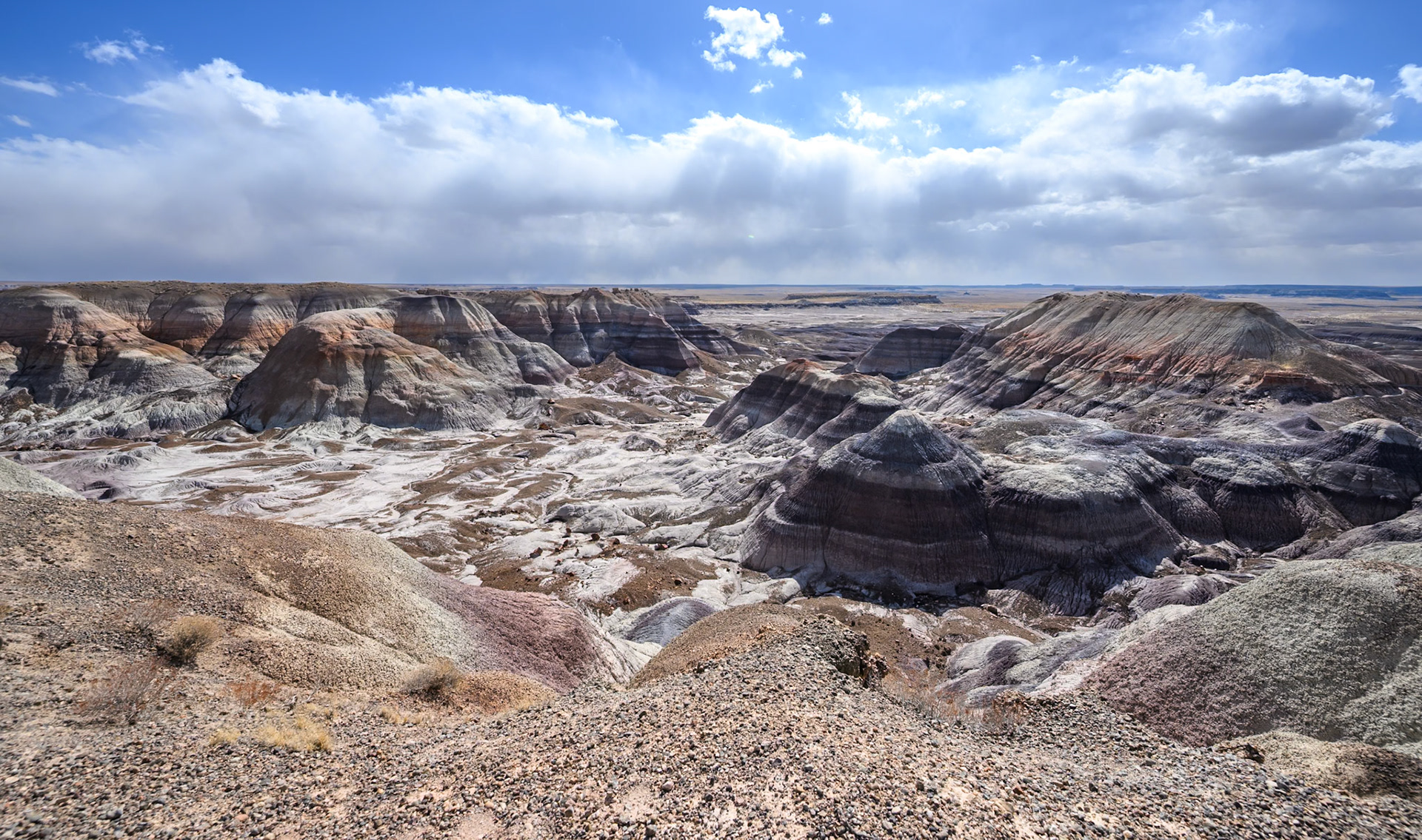 Petrified Forest National Park, Arizona