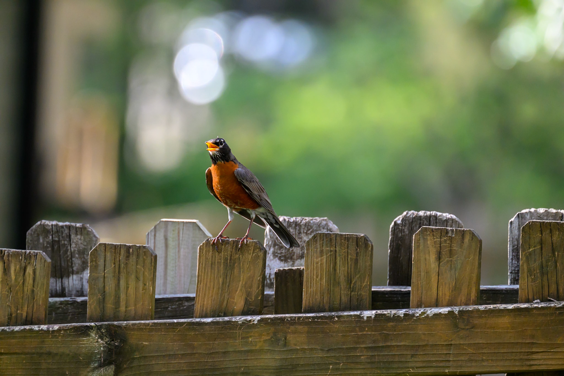 Brumley Nature Preserve