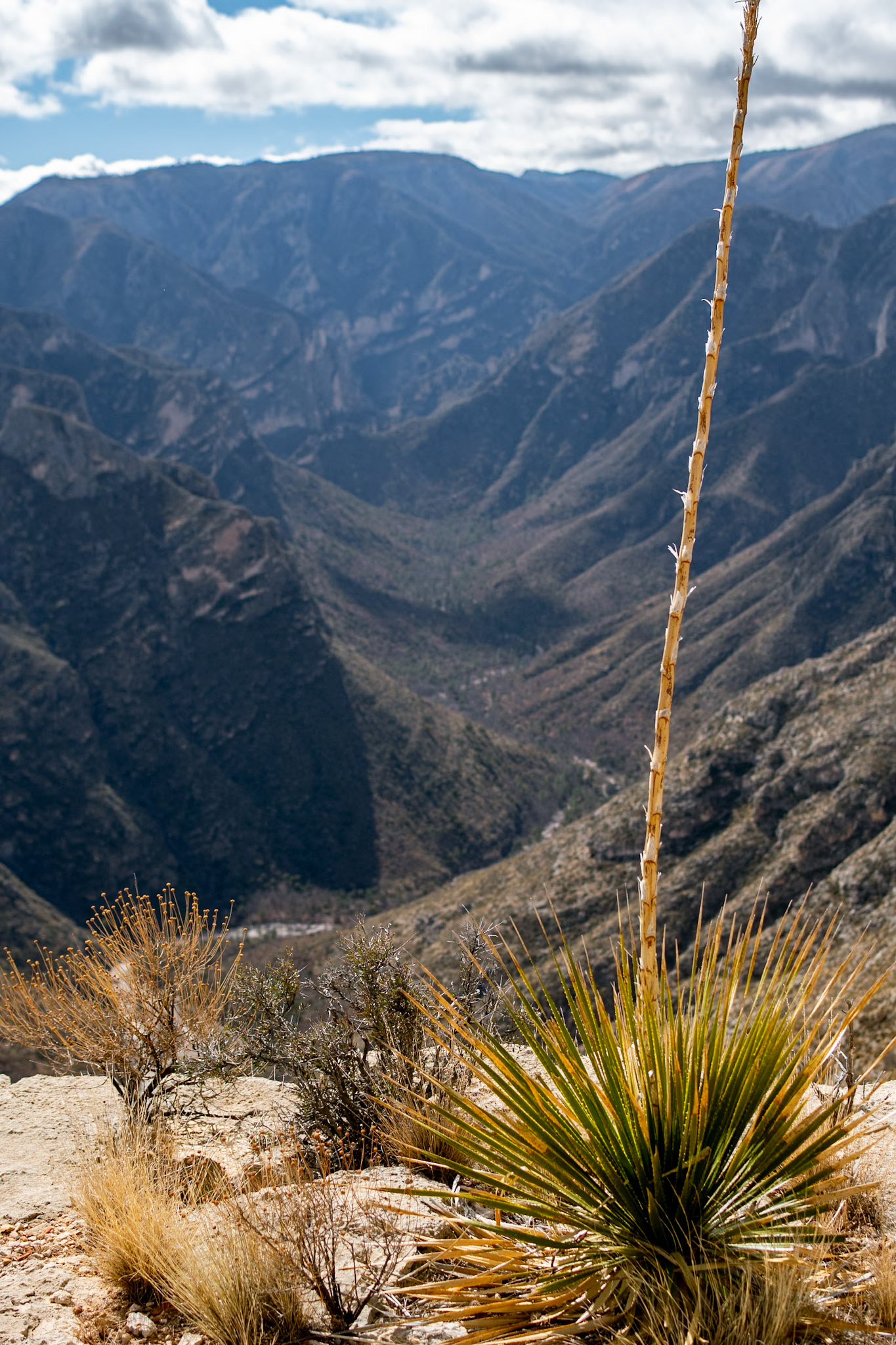 Guadalupe Mountains