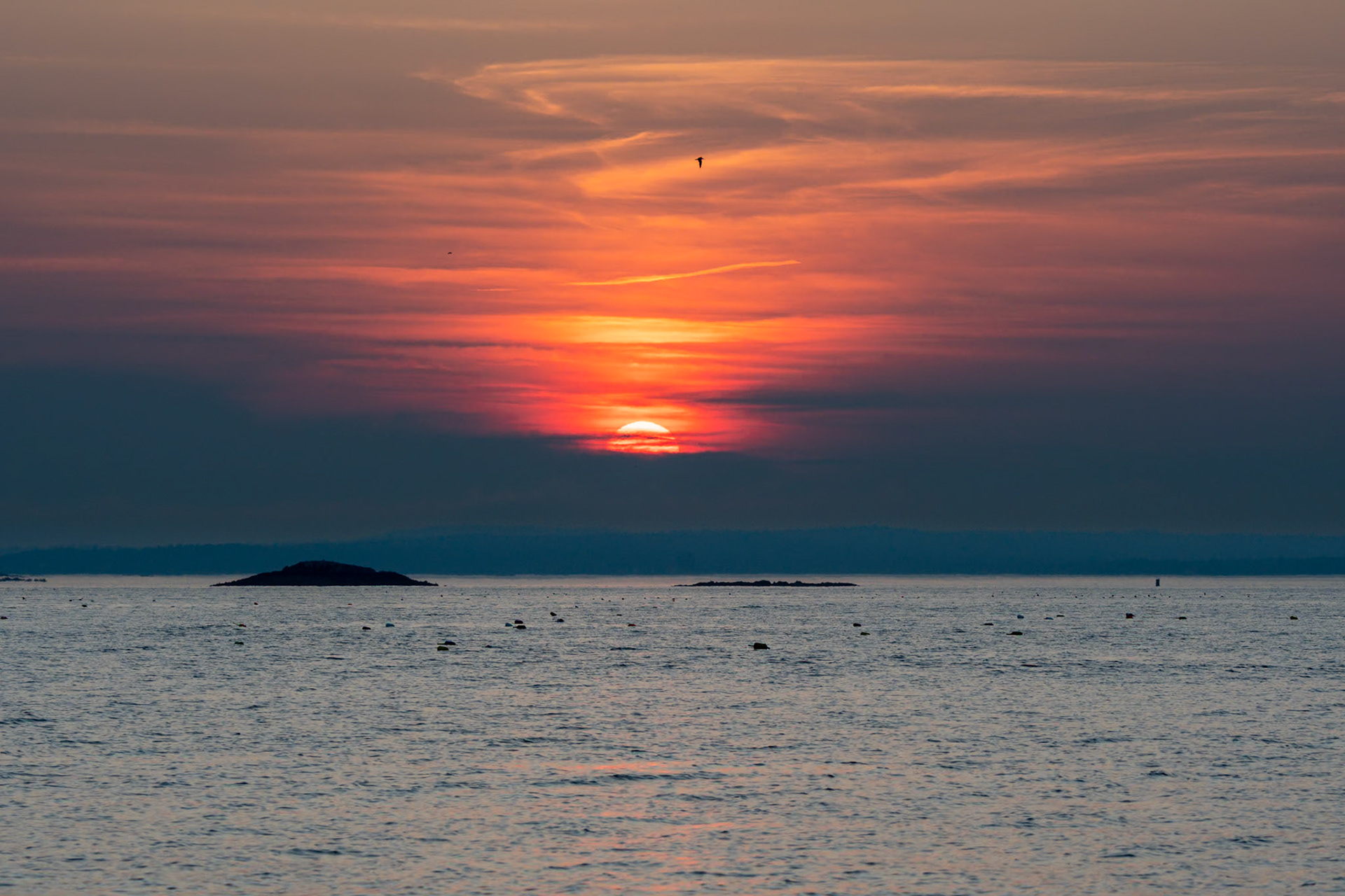 Sunset in Acadia National Park