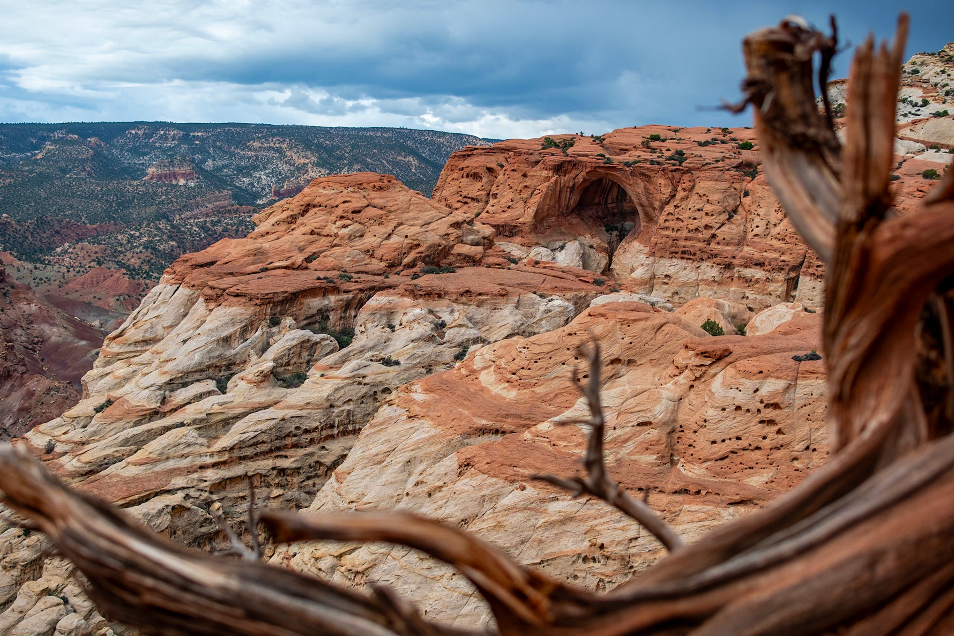 Cassidy Arch (Capitol Reef National Park)