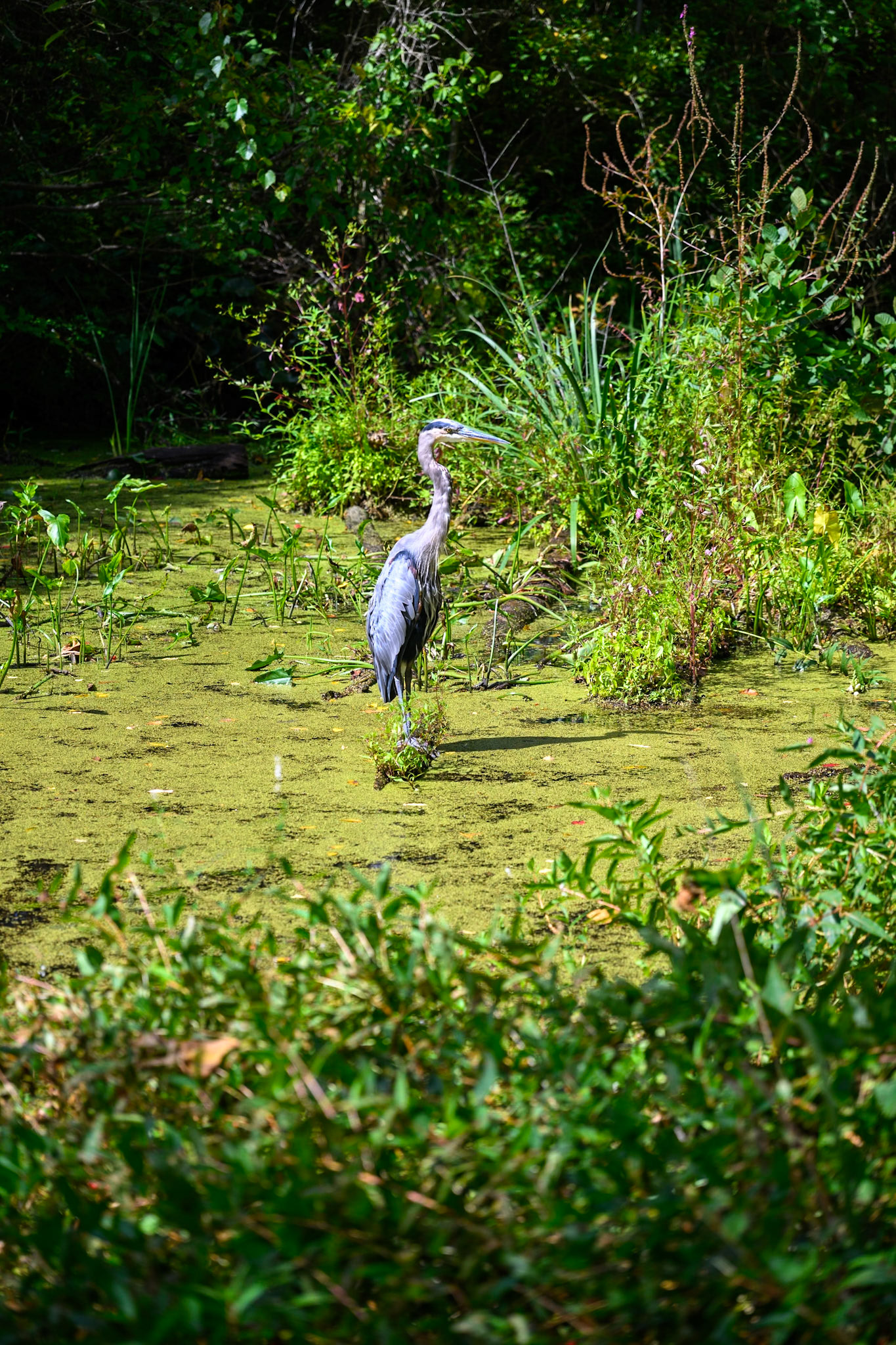 Cuyahoga Valley National Park