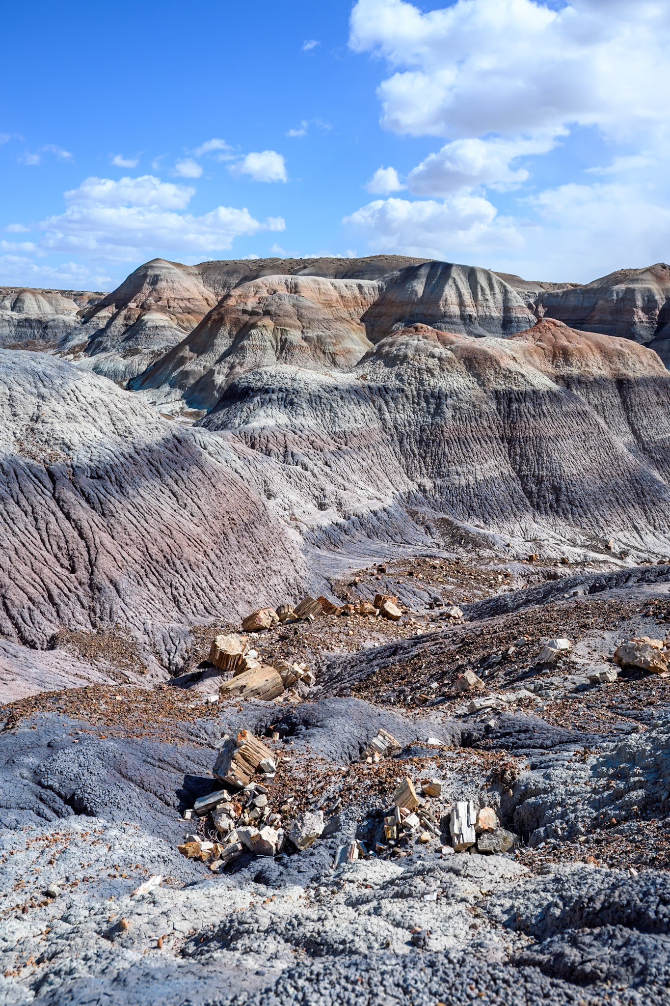 Petrified Forest National Park, Arizona