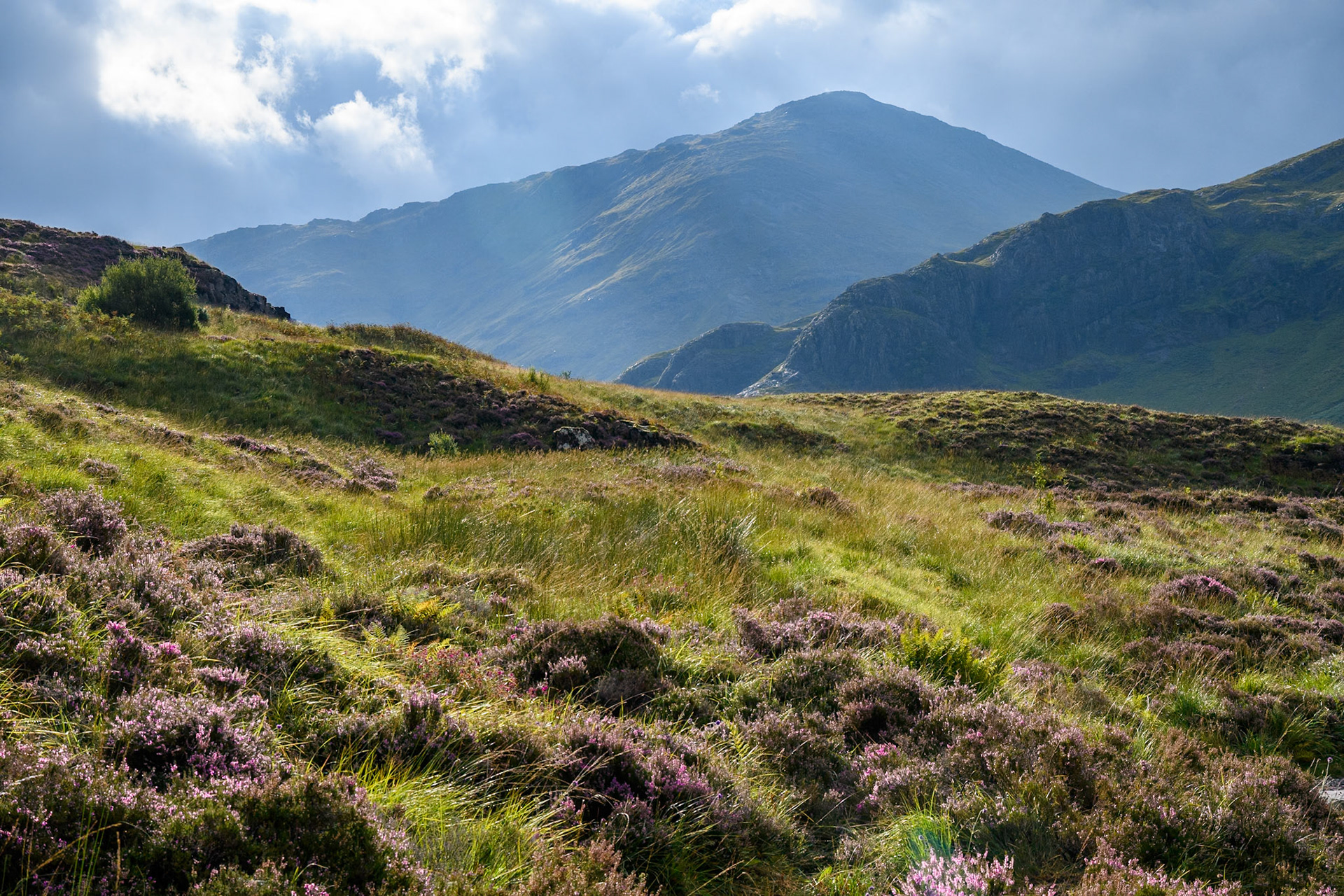 Glencoe
