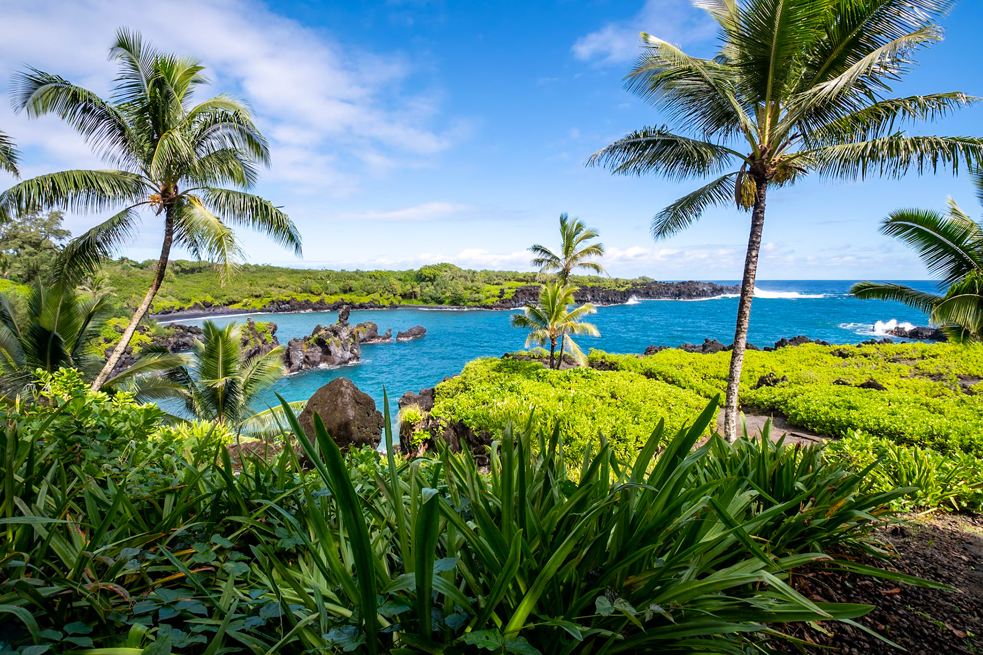 Maui - Black Sand Beach