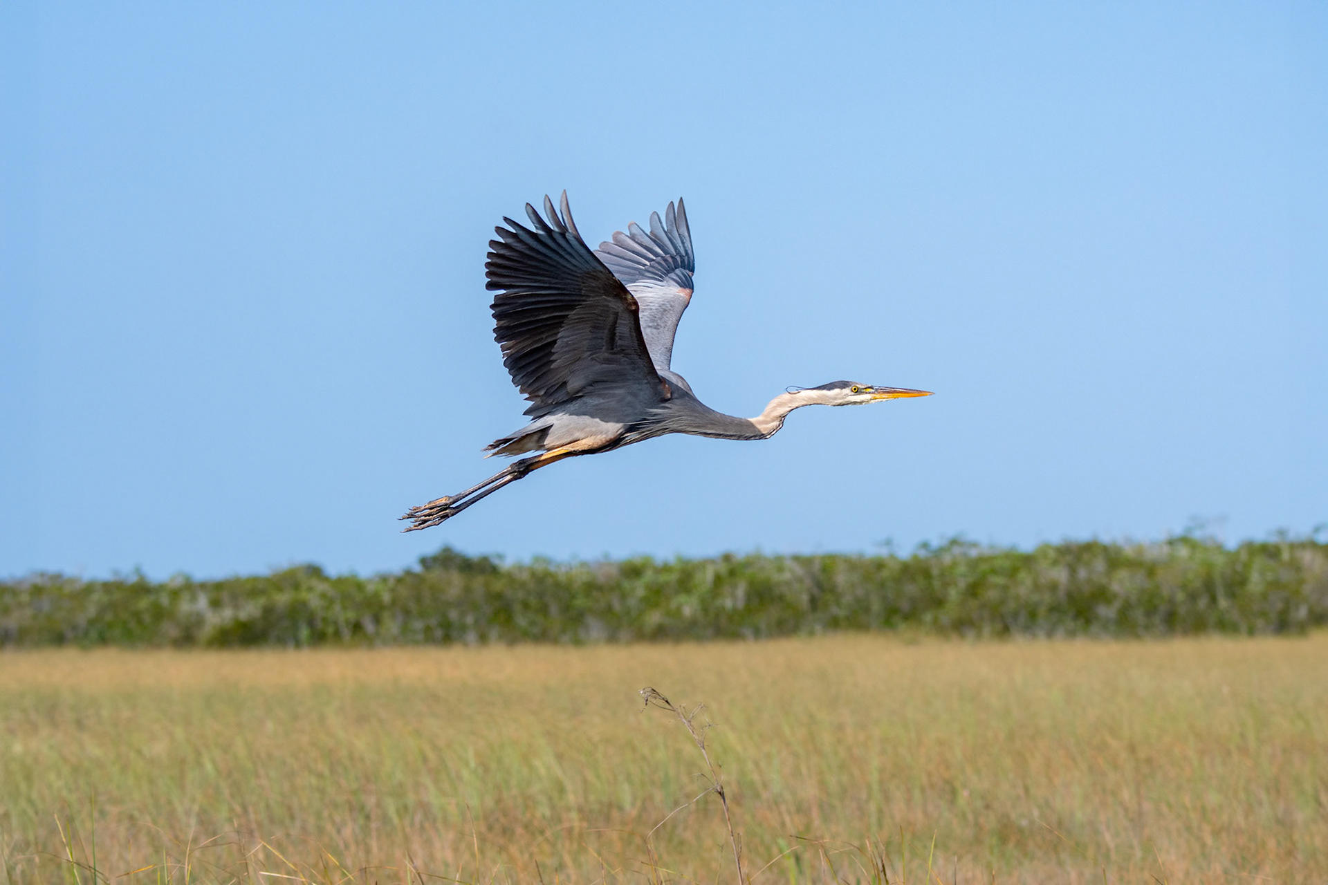 Everglades National Park, Florida