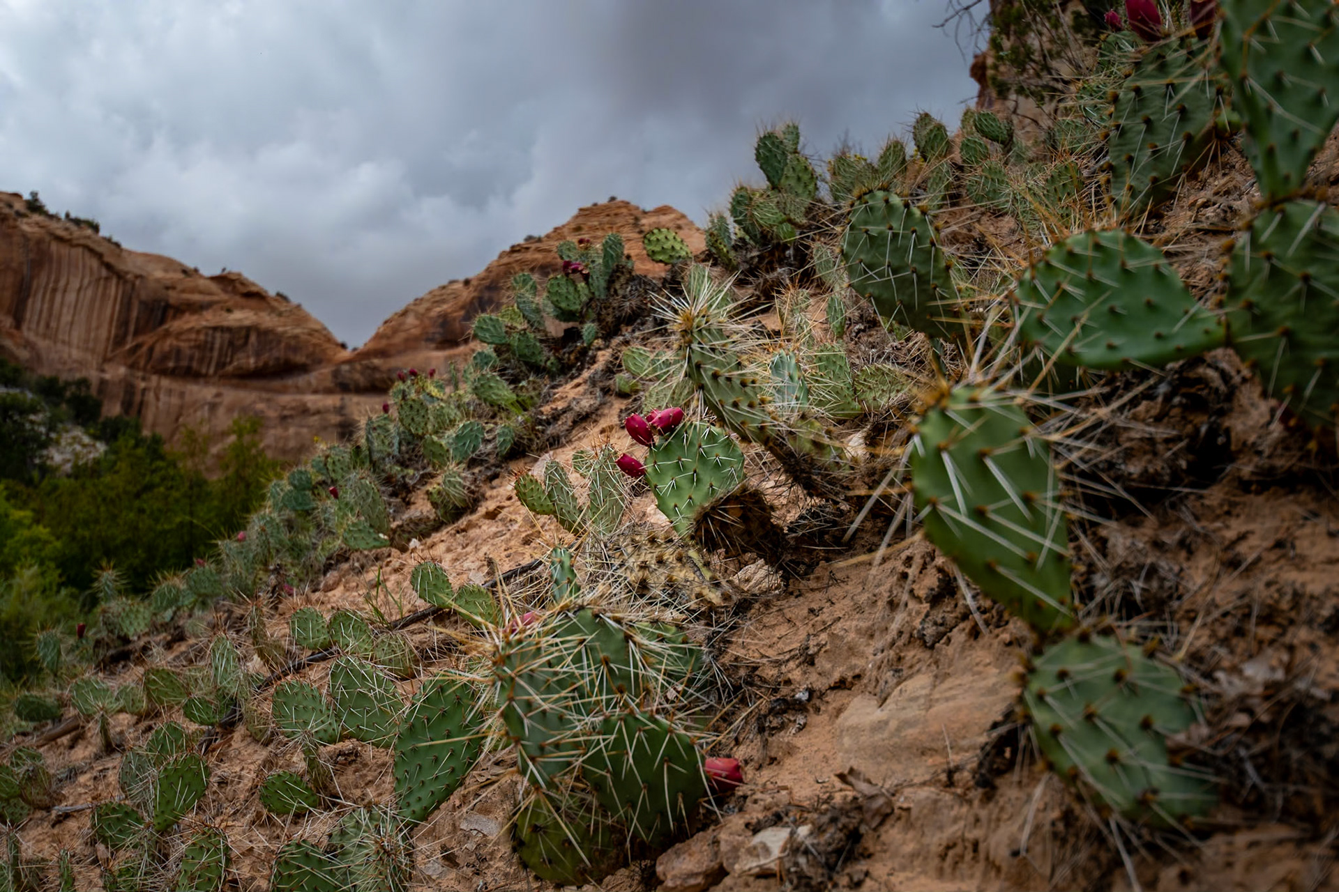 Grand Staircase-Escalante National Monument