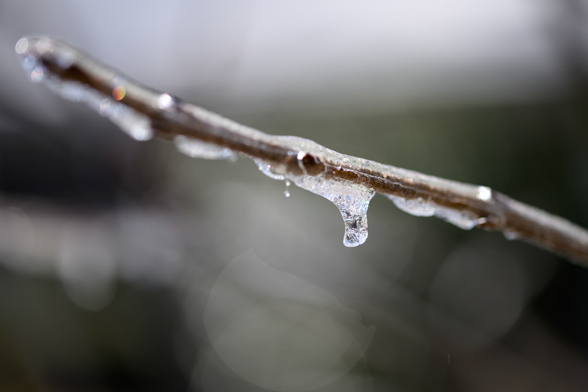 Icicles