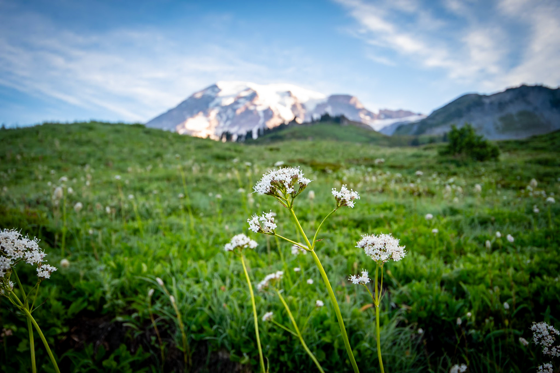 Mount Rainier National Park