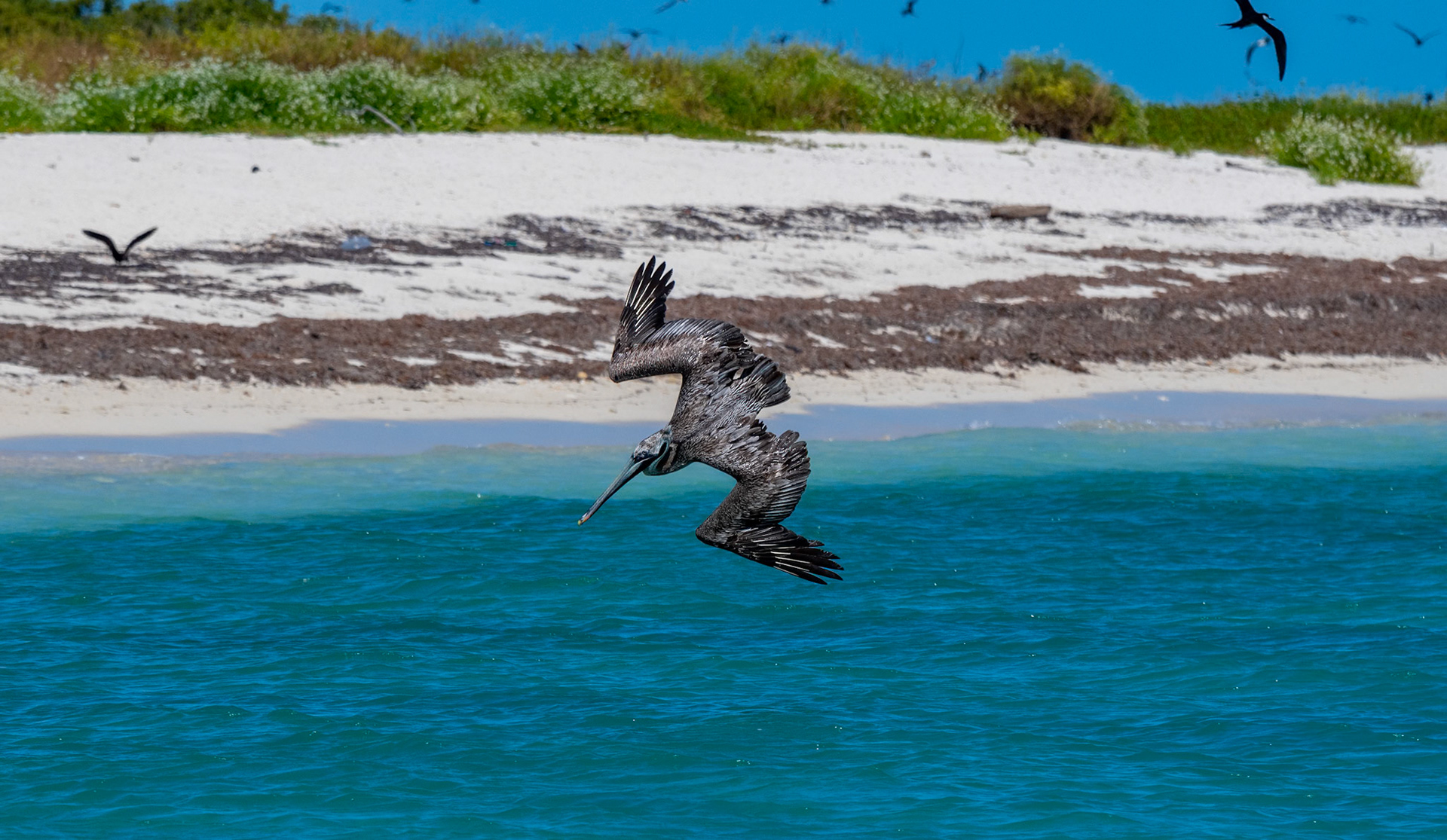 Dry Tortugas National Park, Florida