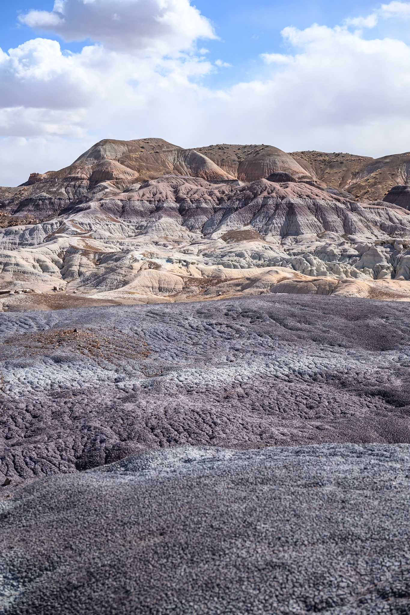 Petrified Forest National Park, Arizona
