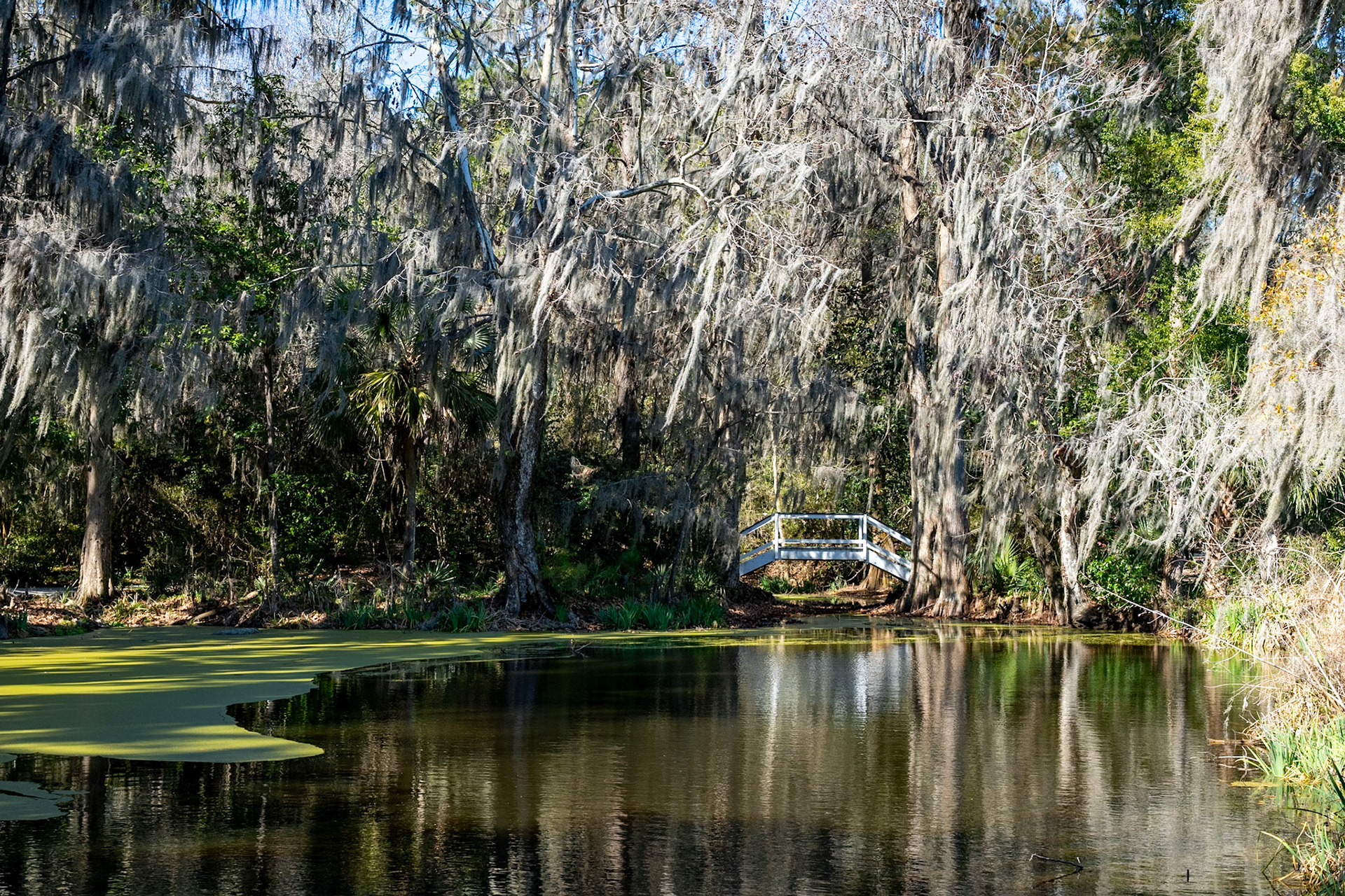 Magnolia Plantation and Gardens