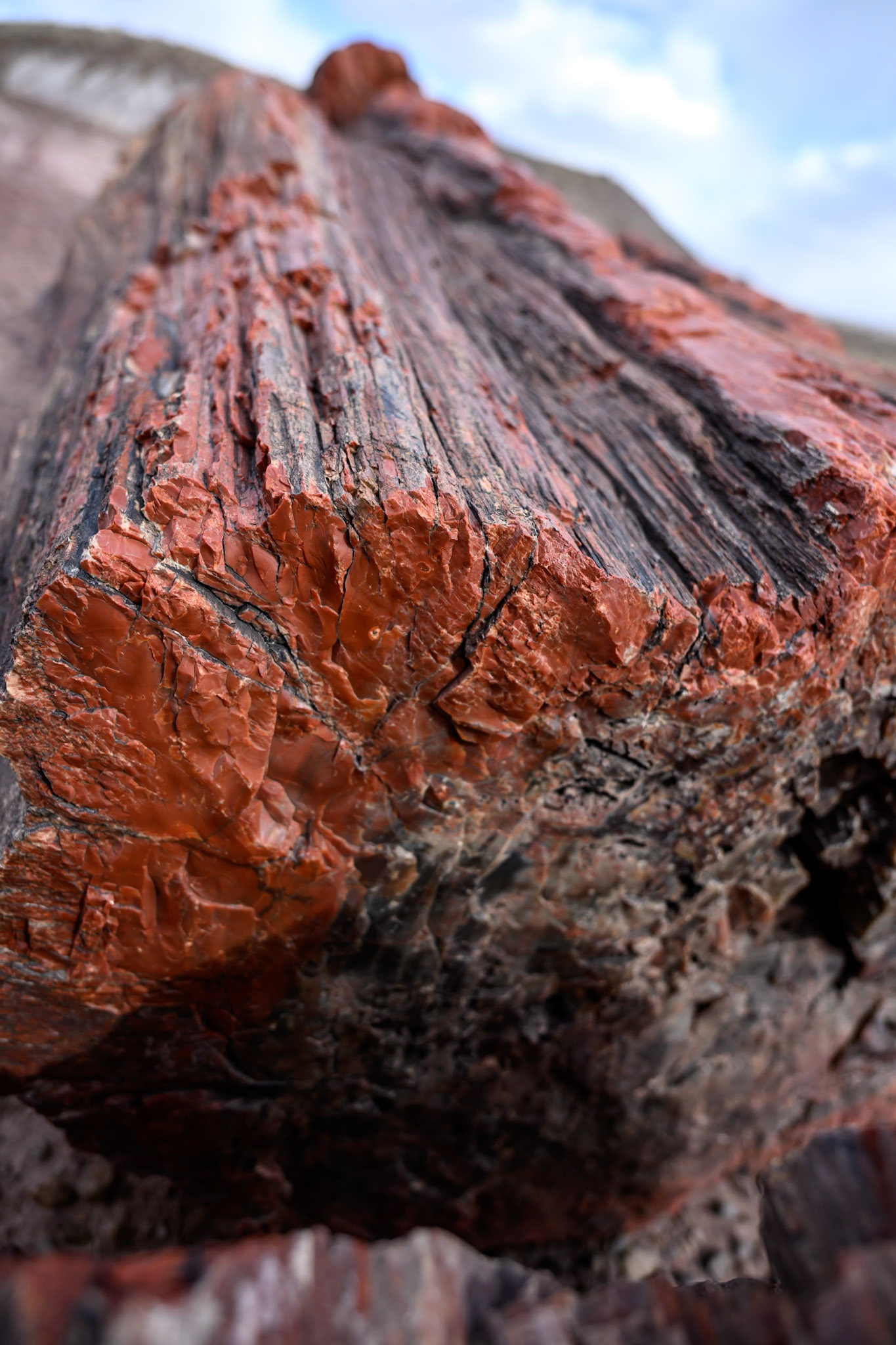 Petrified Forest National Park, Arizona
