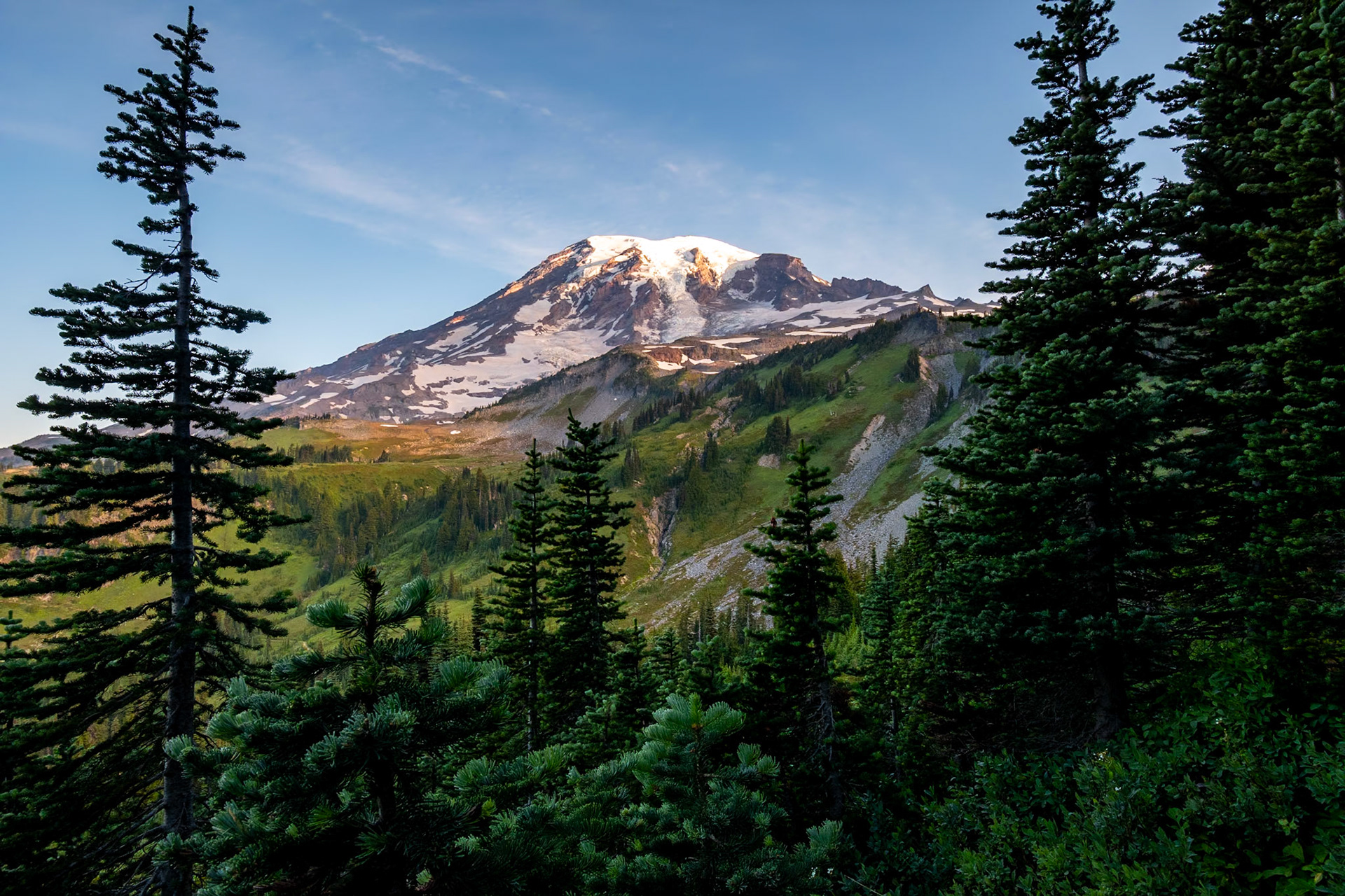 Mount Rainier National Park