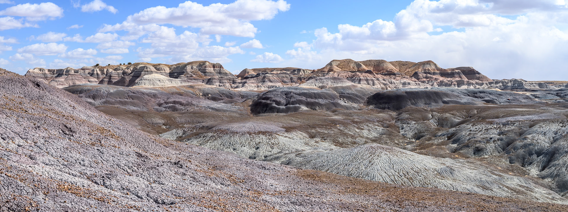 Petrified Forest National Park, Arizona