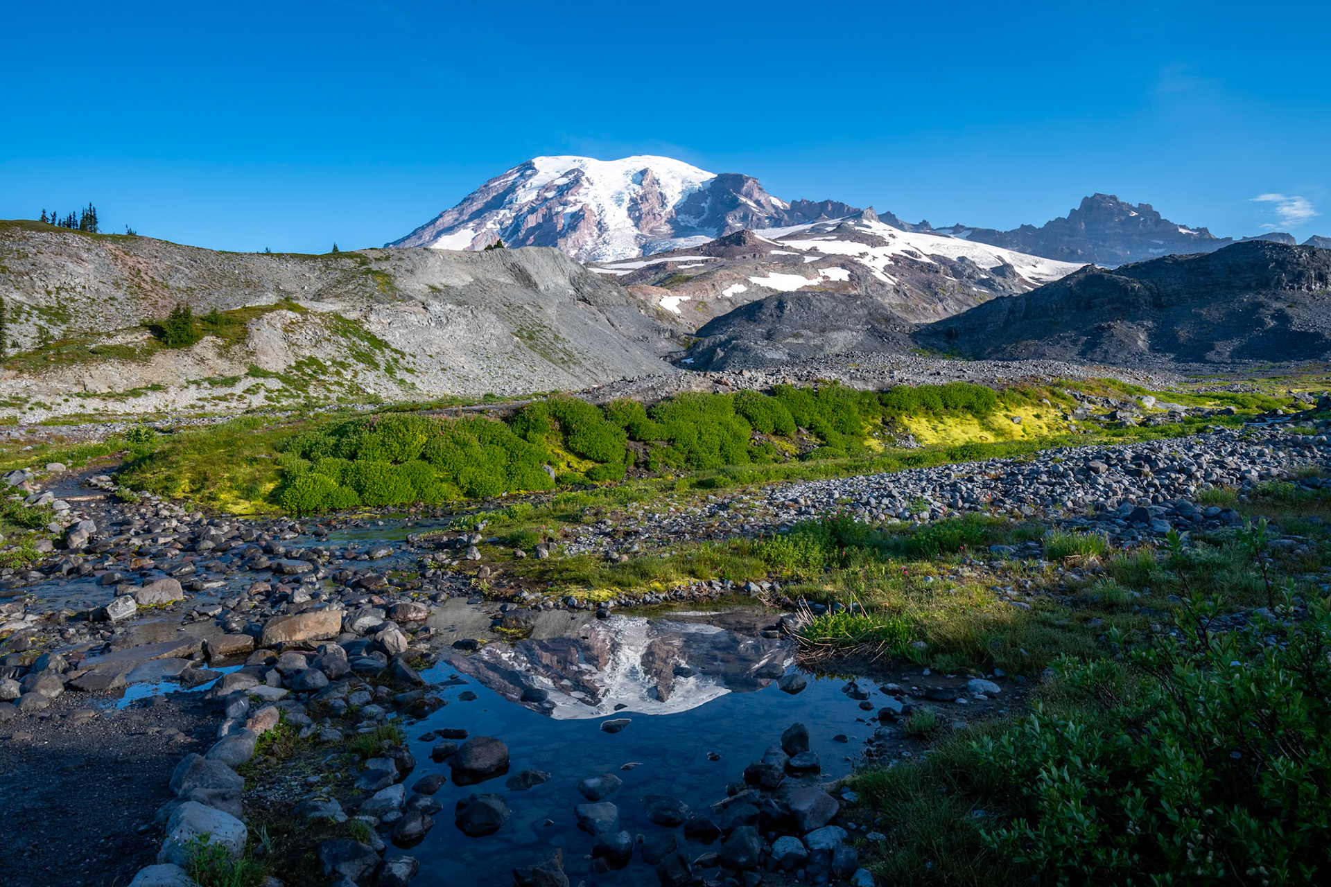 Mount Rainier National Park