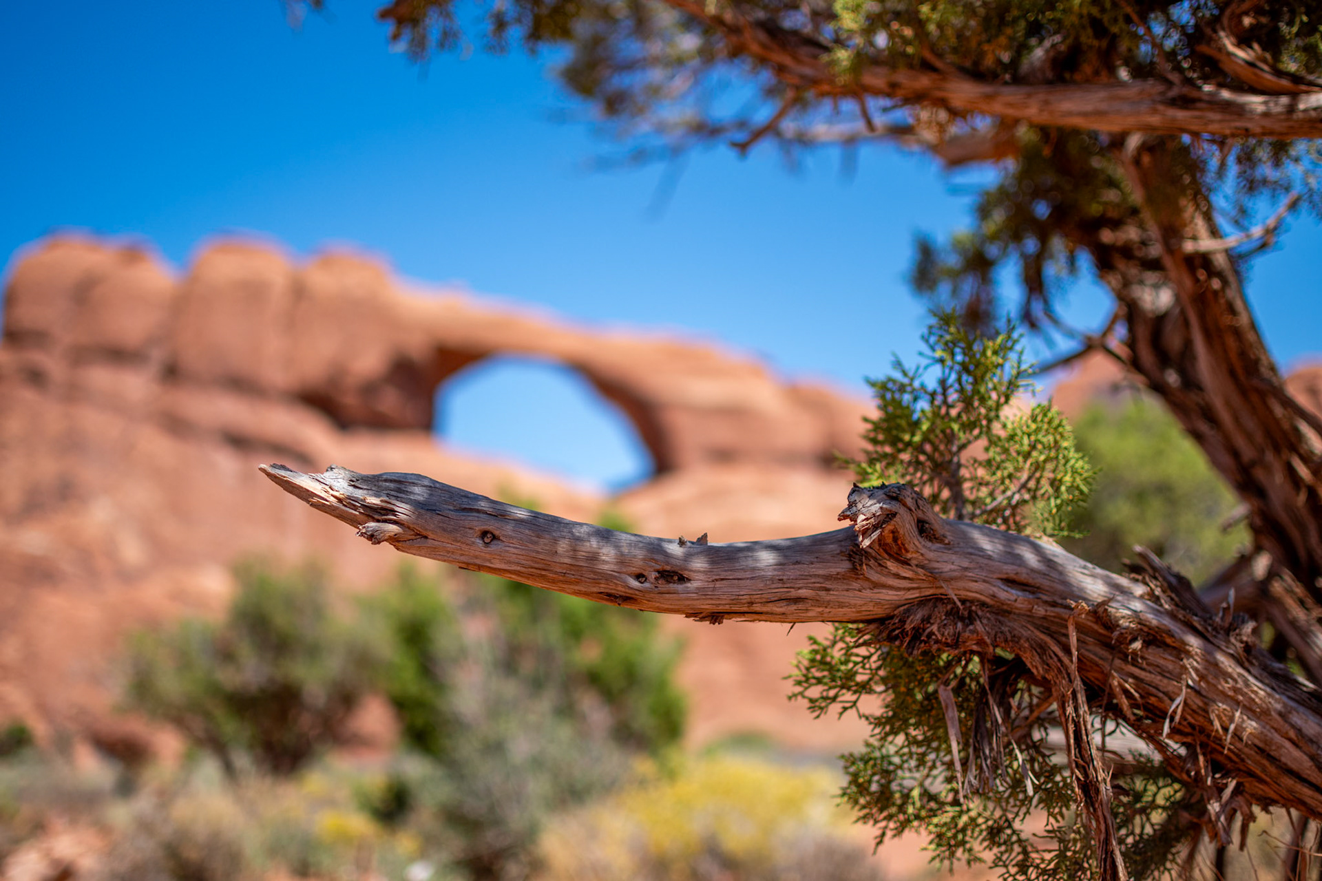 Arches National Park