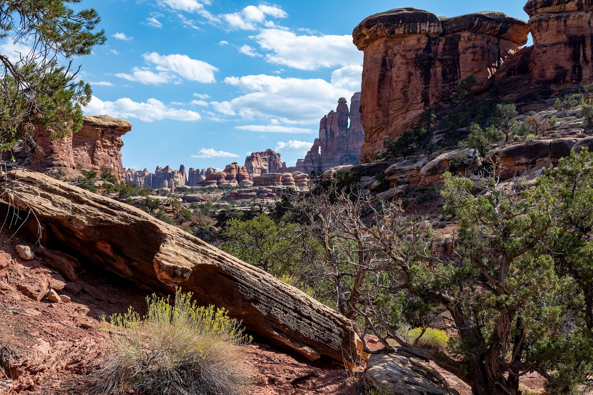 Canyonlands National Park - Needles