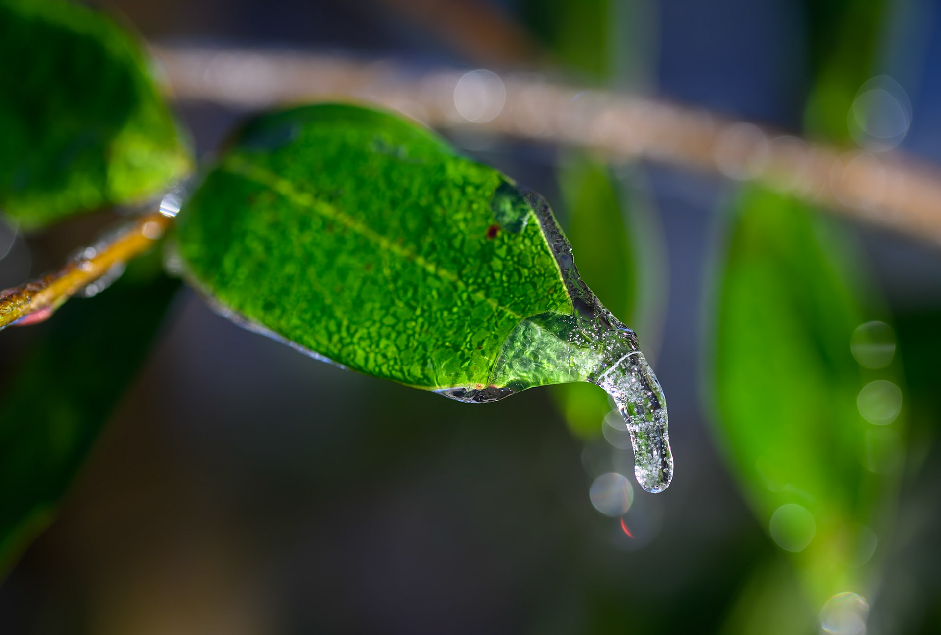 Icicles