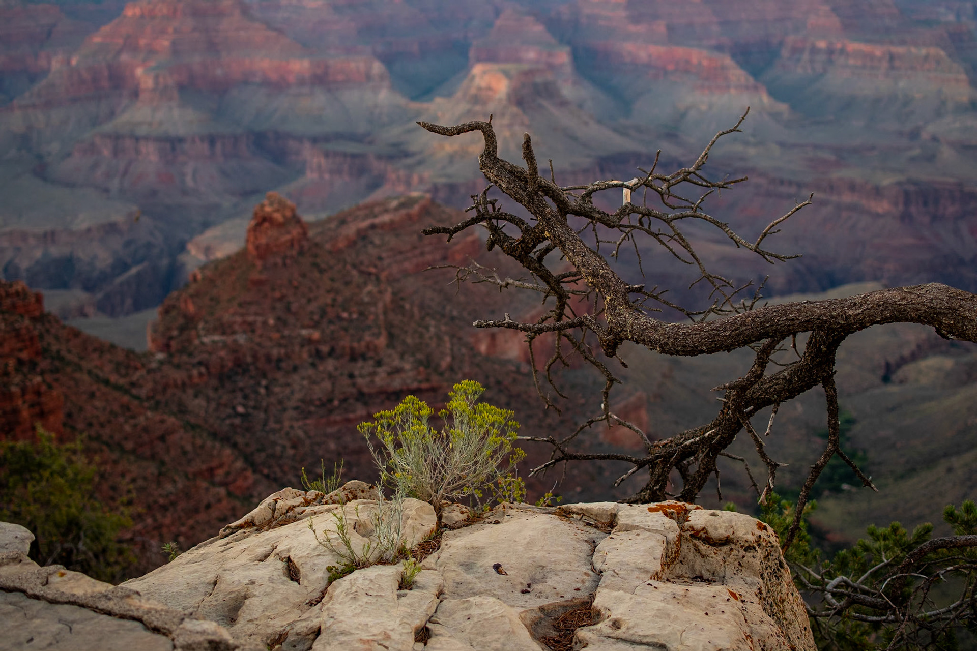 Grand Canyon