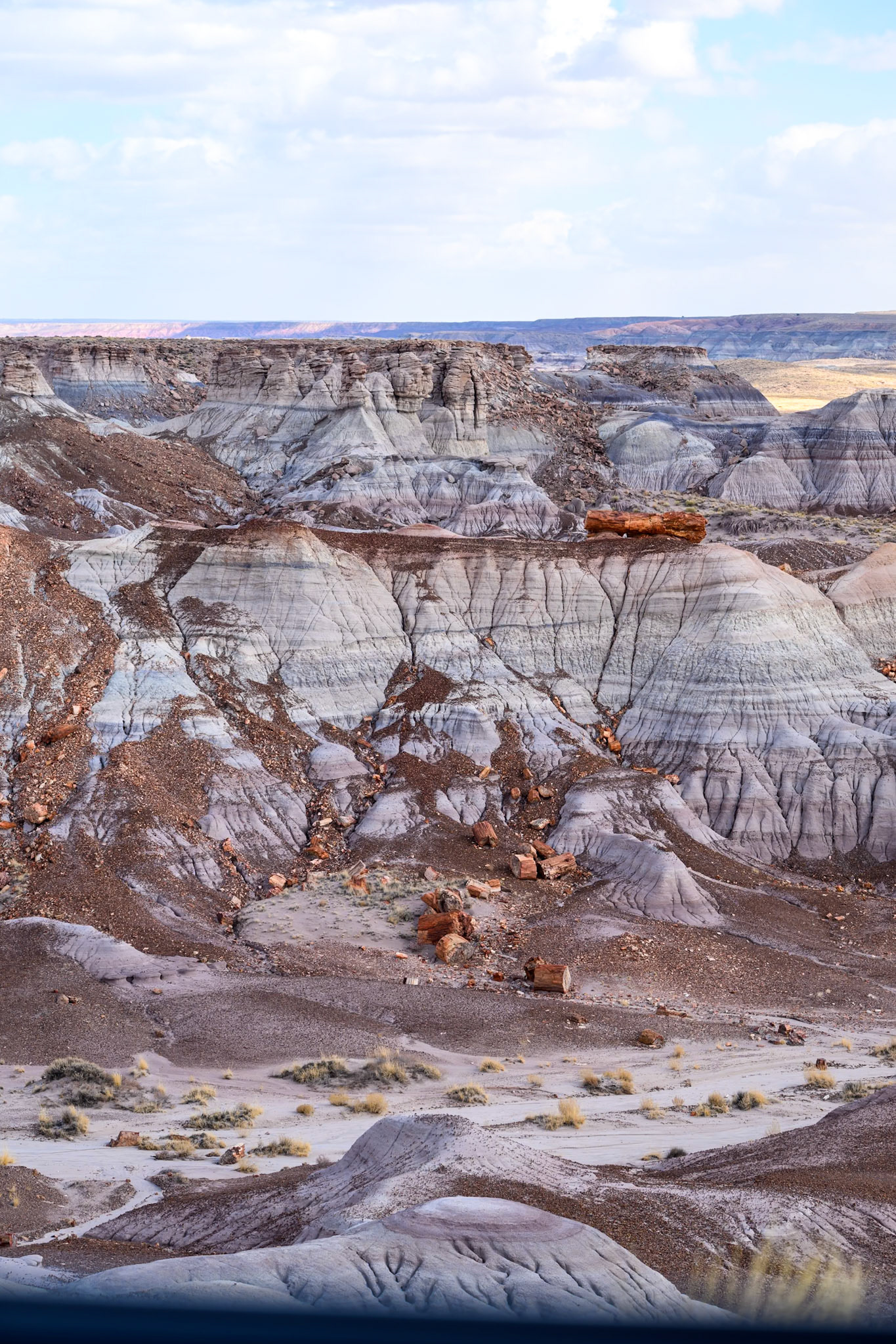 Petrified Forest National Park, Arizona
