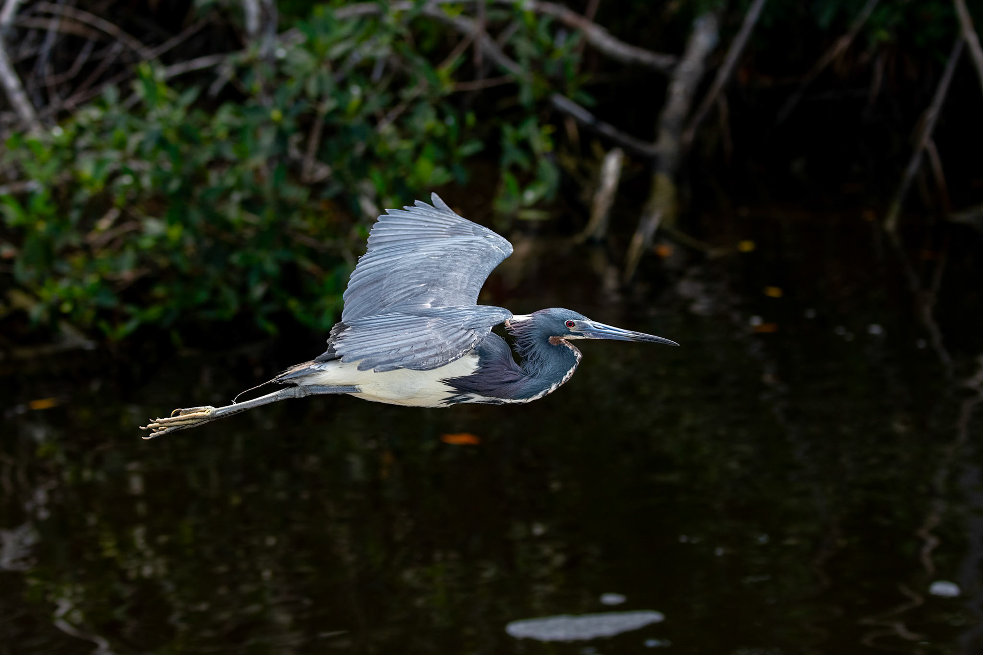 Everglades National Park, Florida